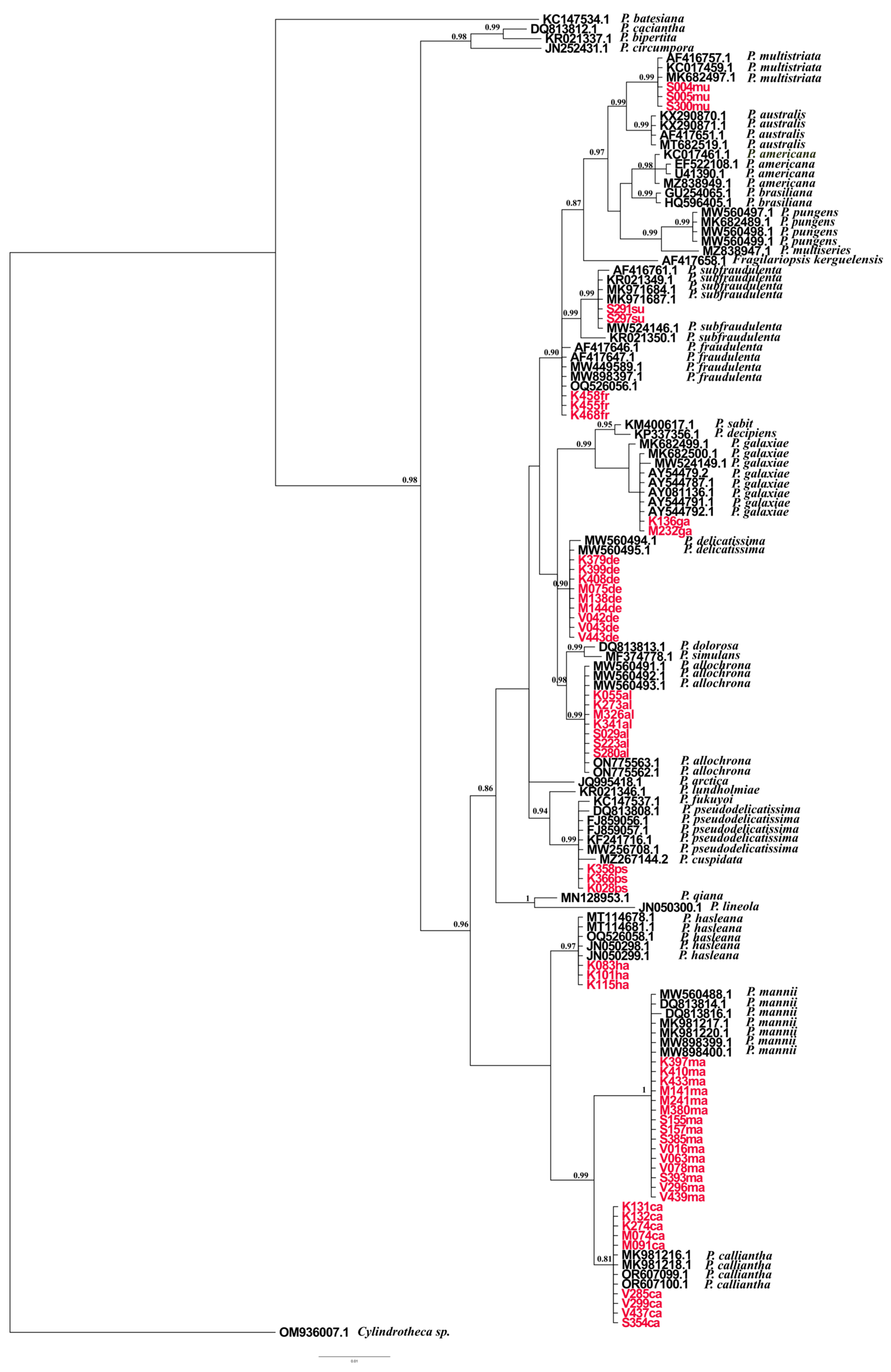 Plants 14 00245 g010