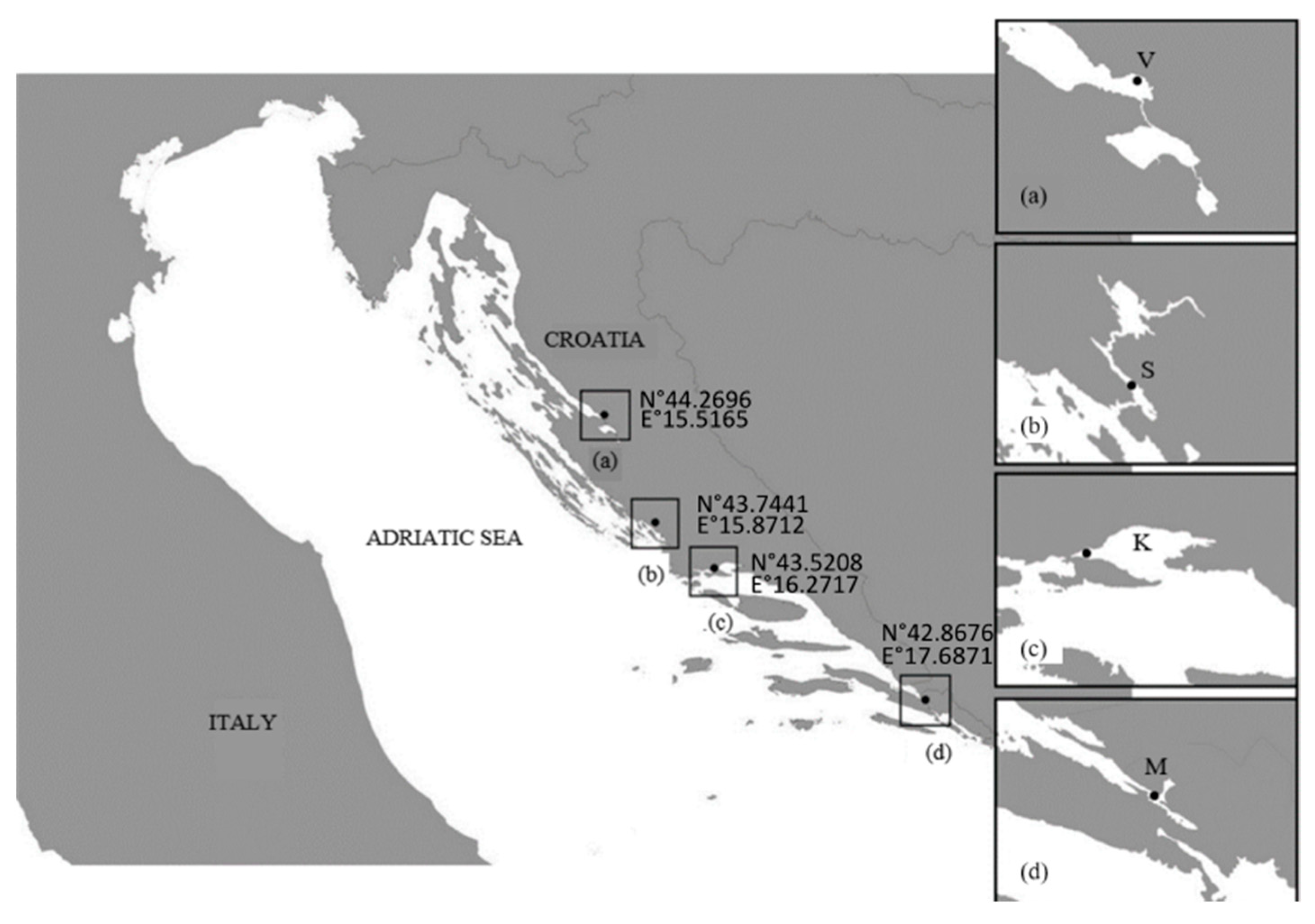 Plants 14 00245 g014