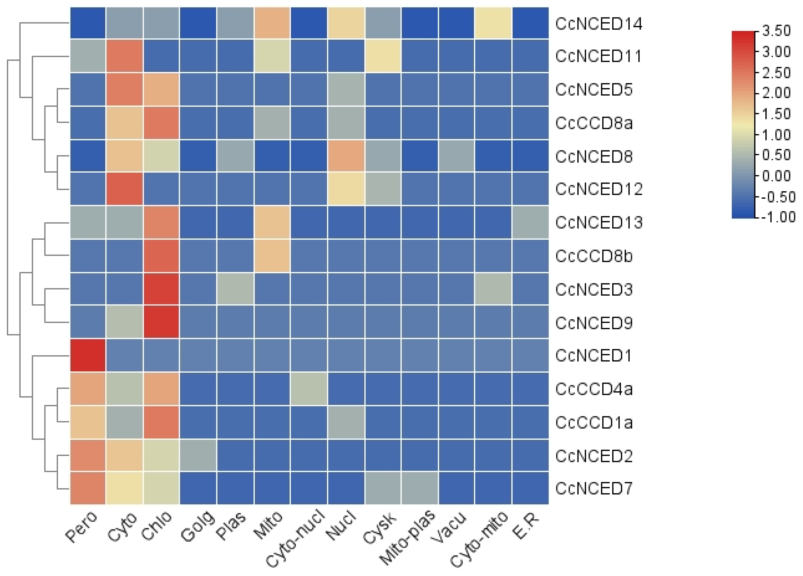 Plants 14 00249 g001