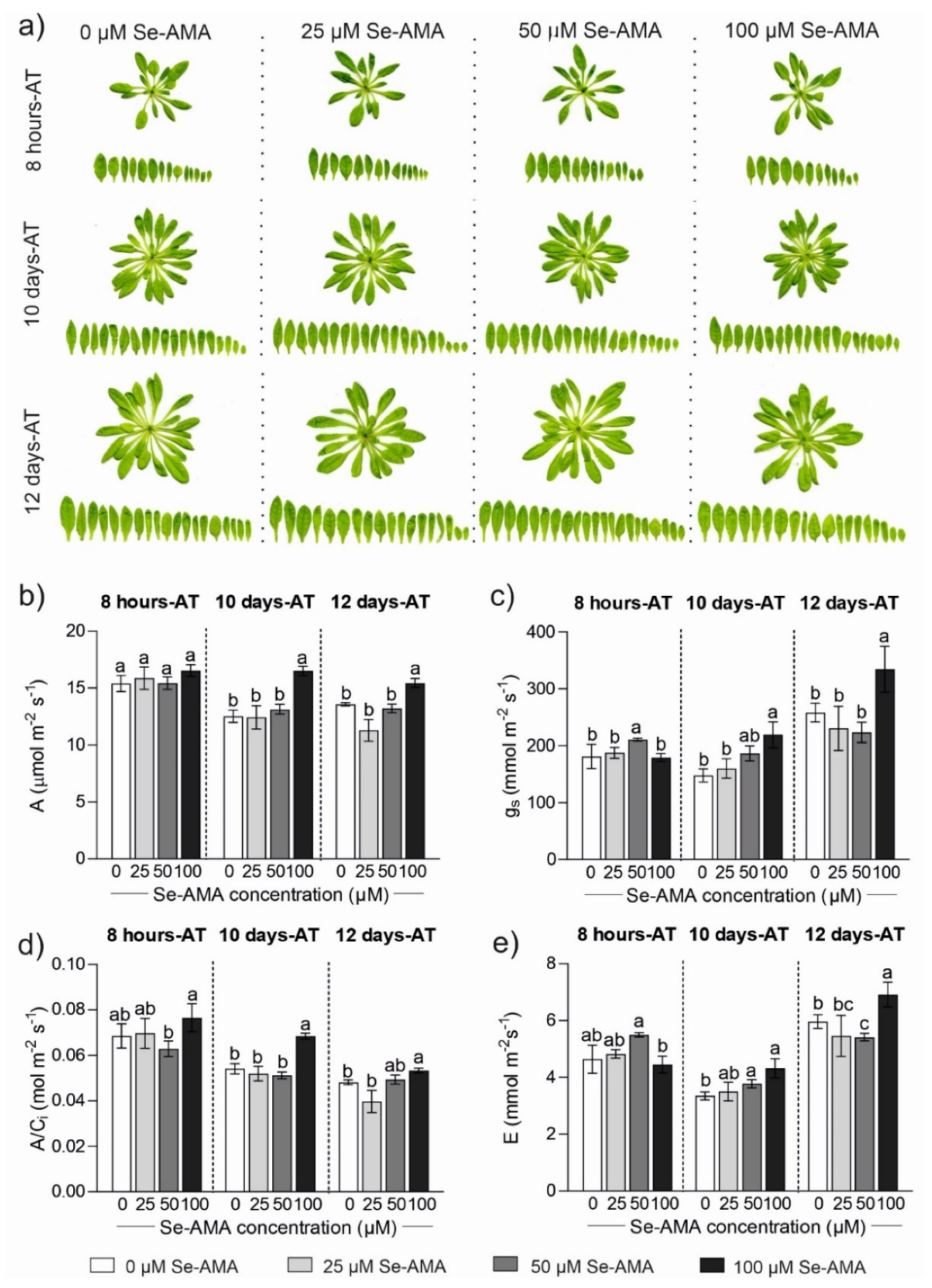 Plants 14 00258 g001