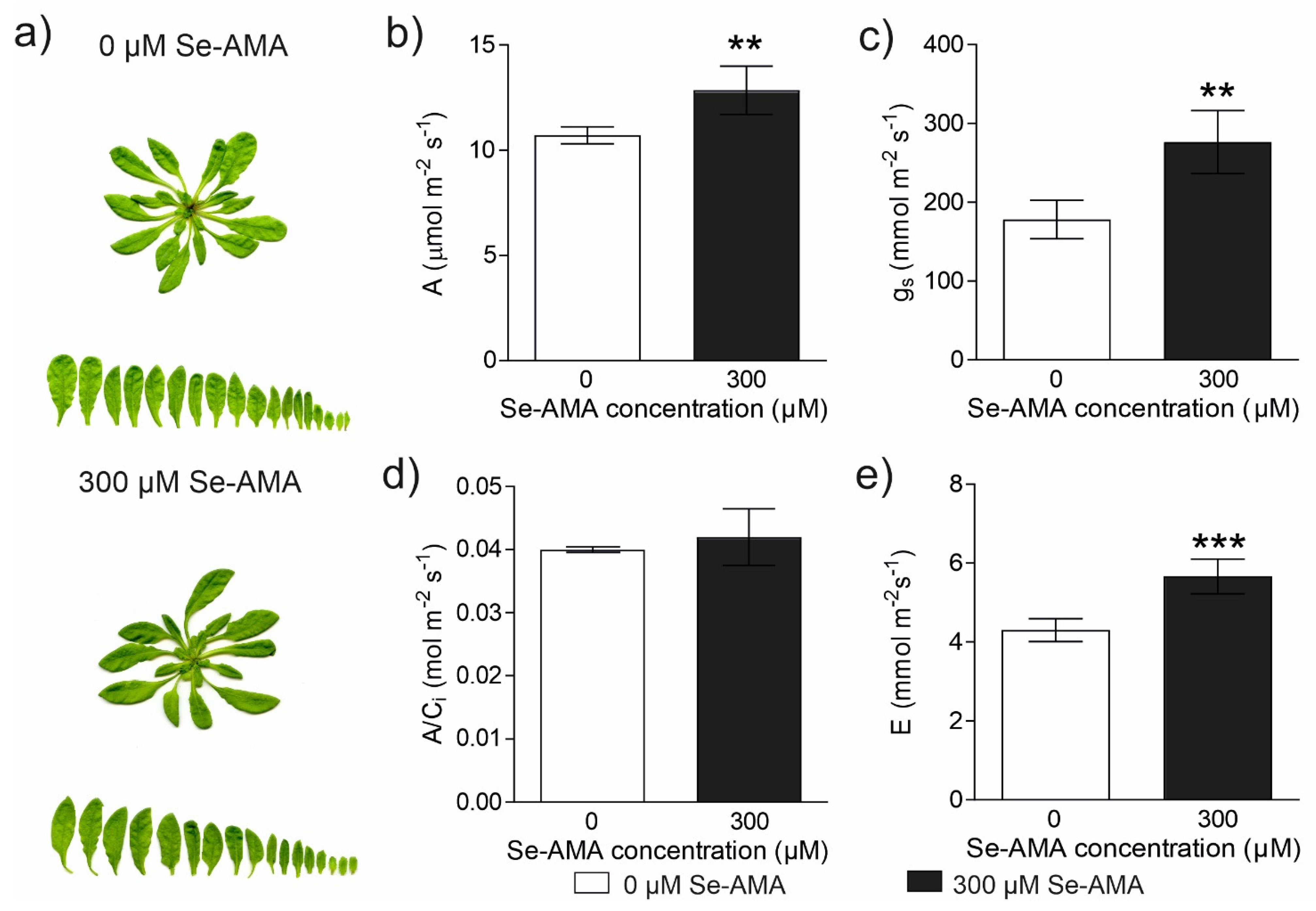 Plants 14 00258 g003