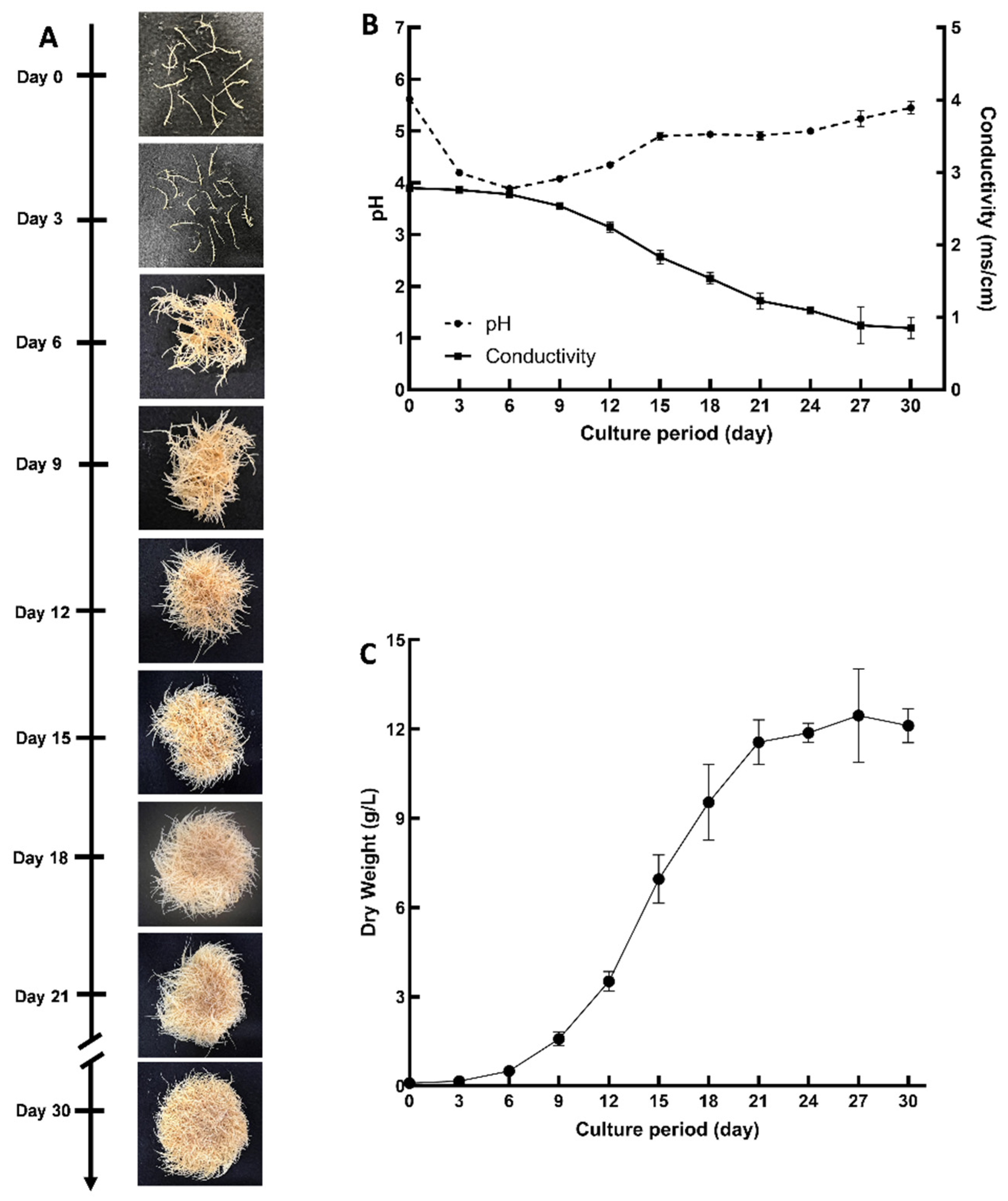 Plants 14 00259 g004