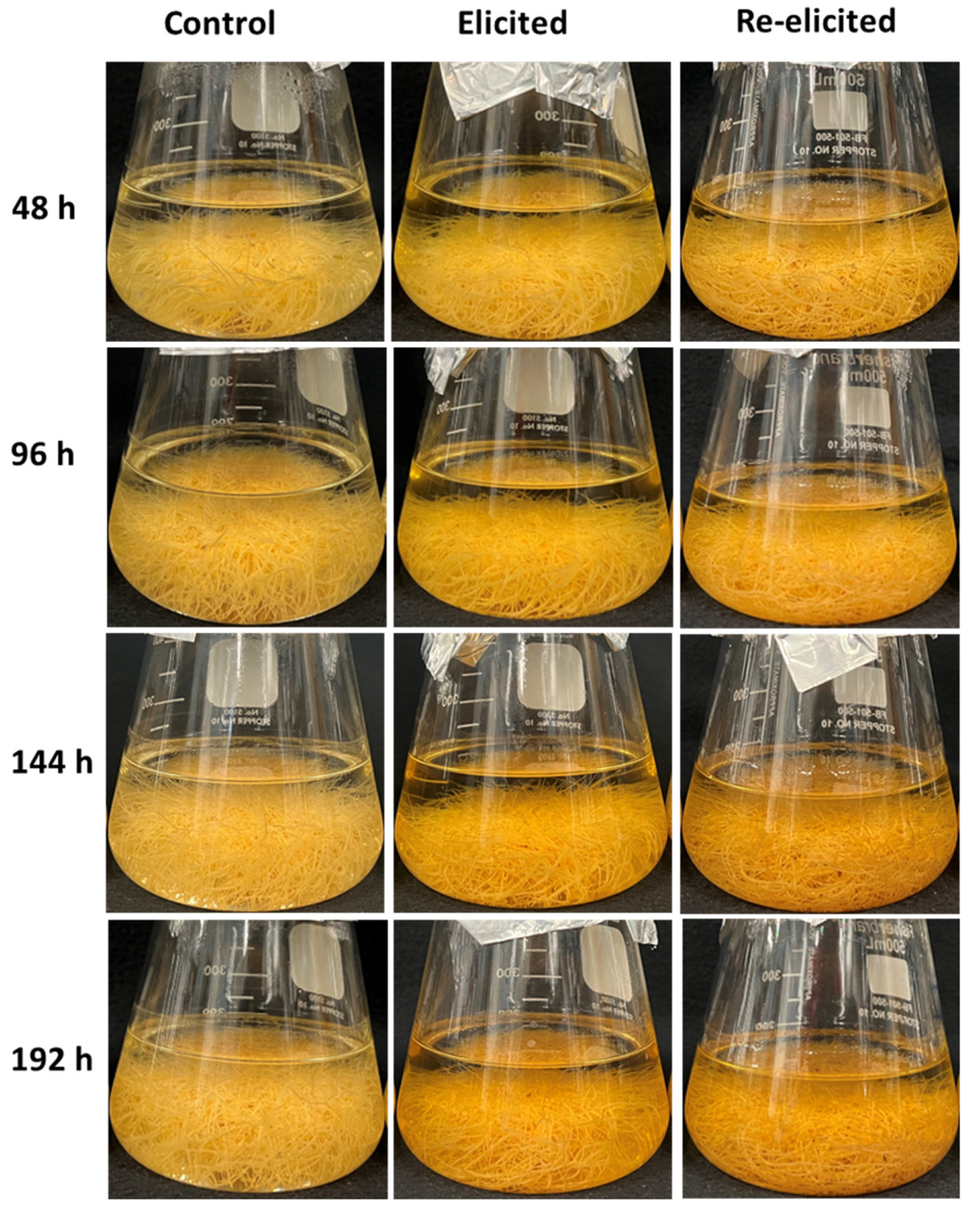 Plants 14 00259 g005