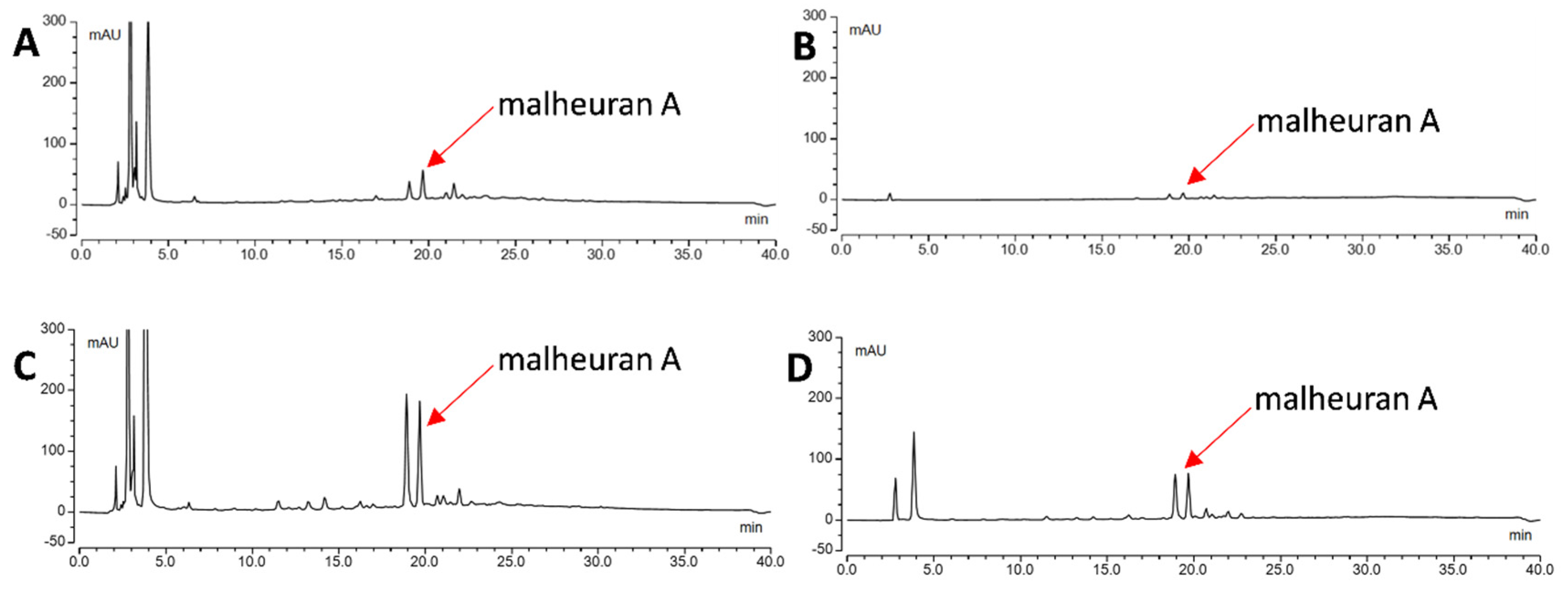 Plants 14 00259 g011