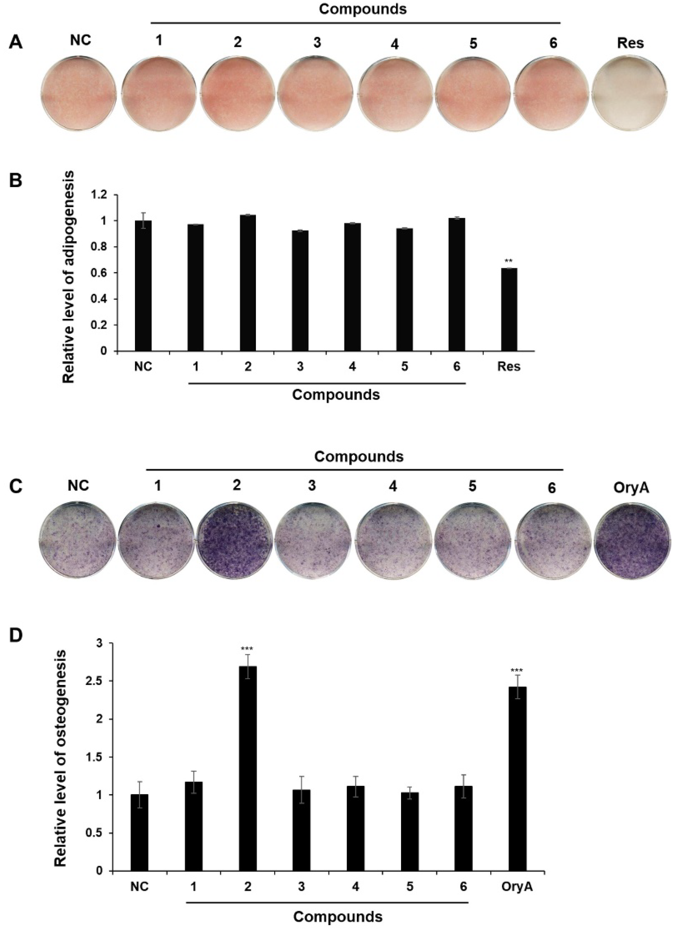 Plants 14 00261 g004