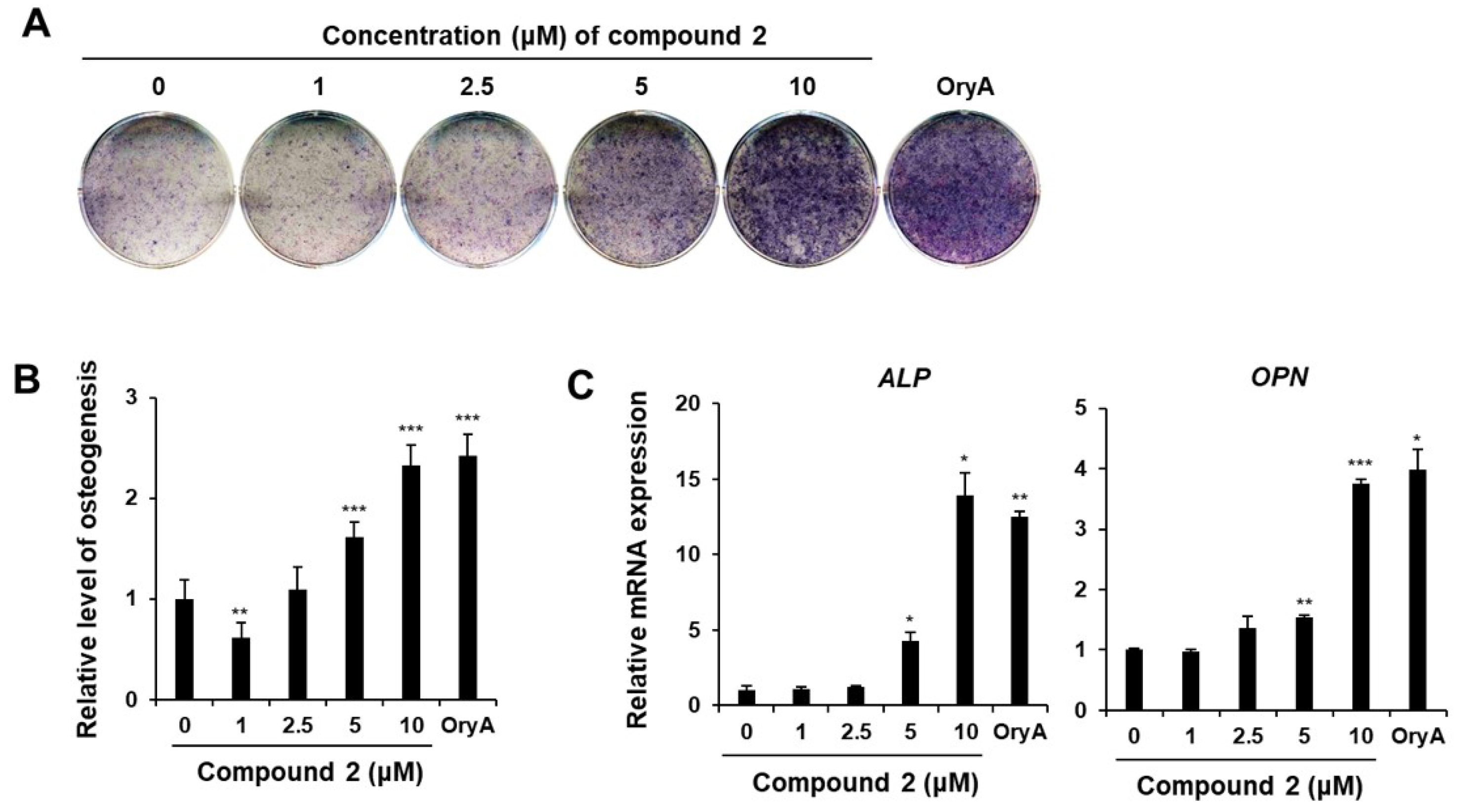 Plants 14 00261 g005