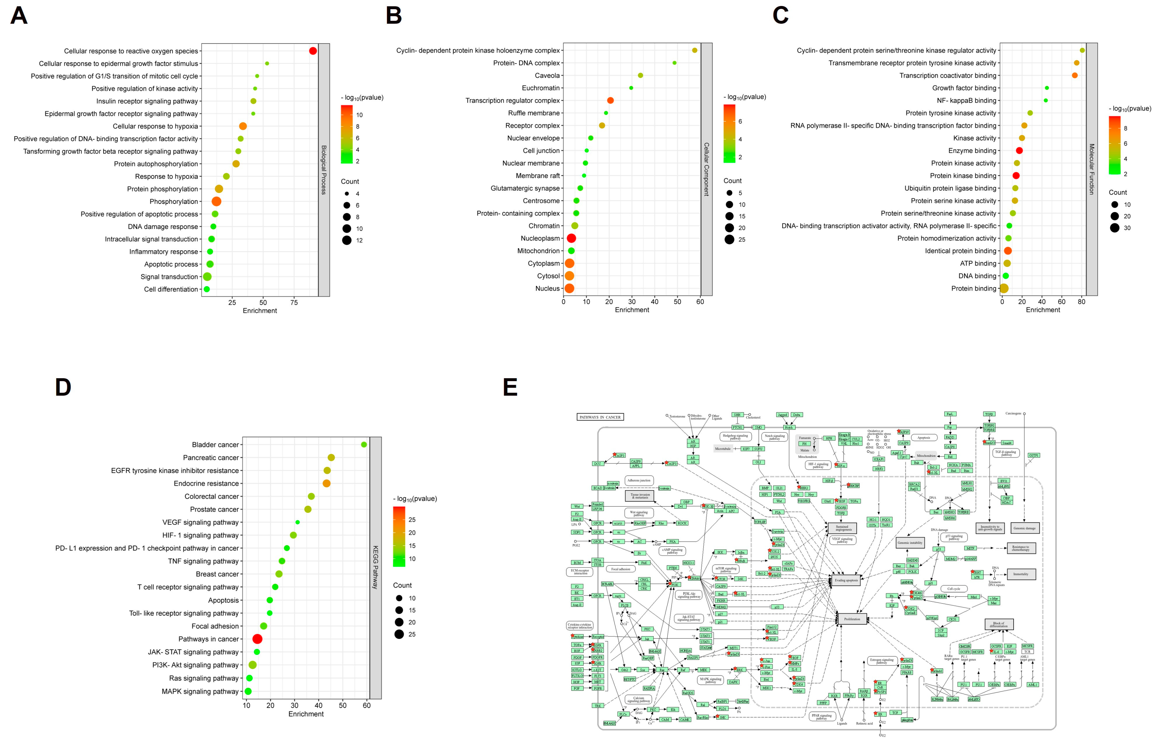 Plants 14 00263 g003