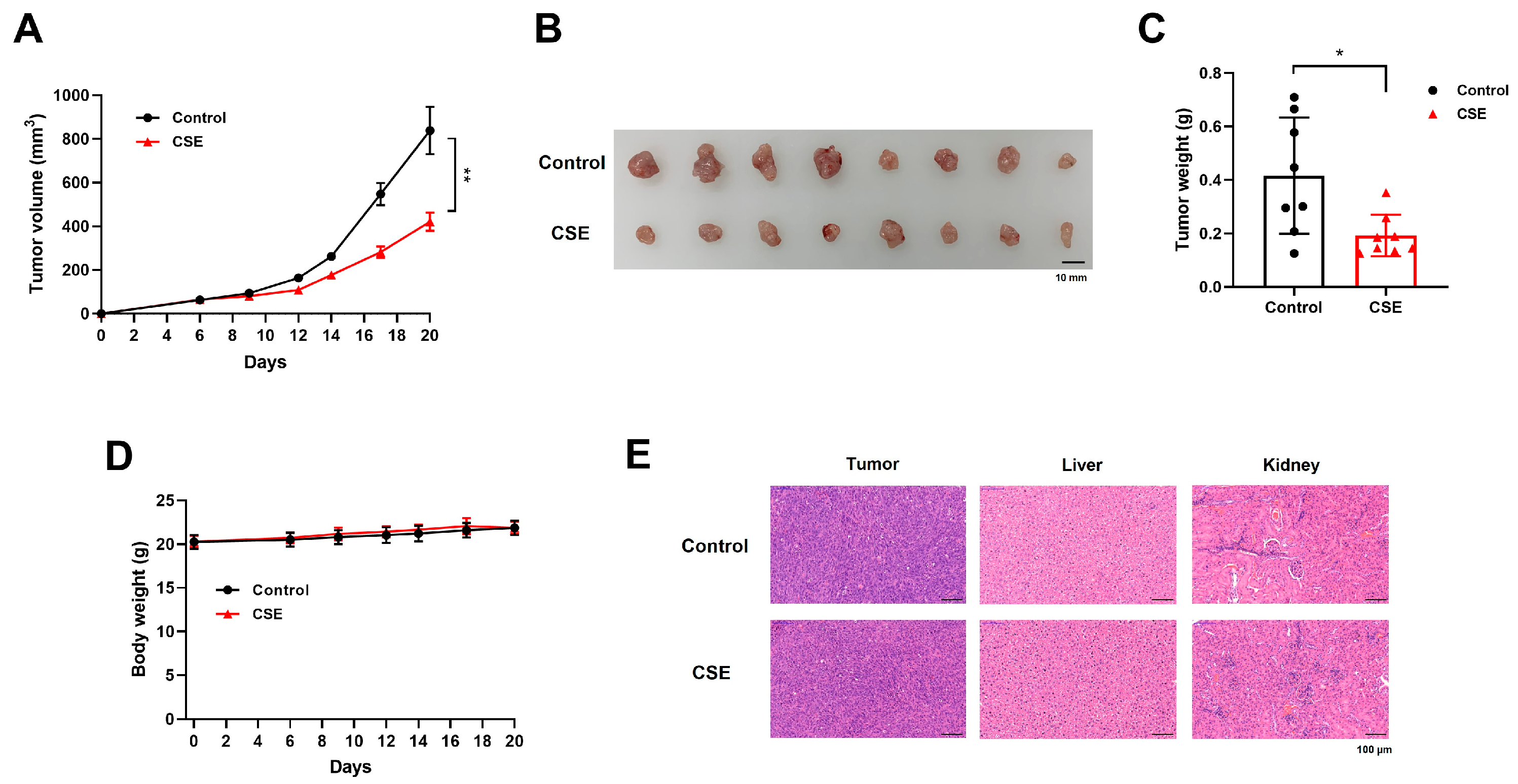 Plants 14 00263 g009