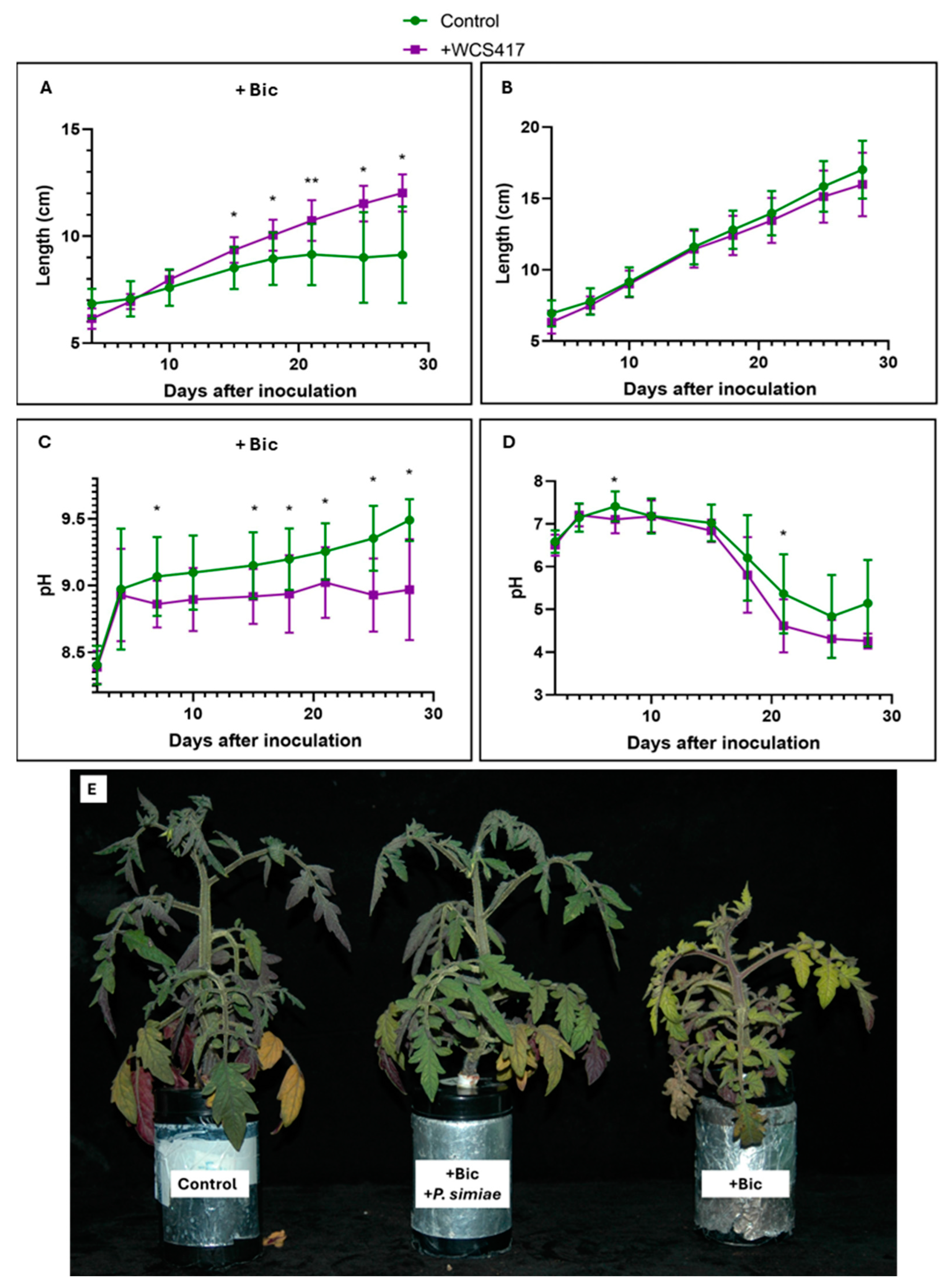 Plants 14 00264 g001 Plants 14 00264 g001