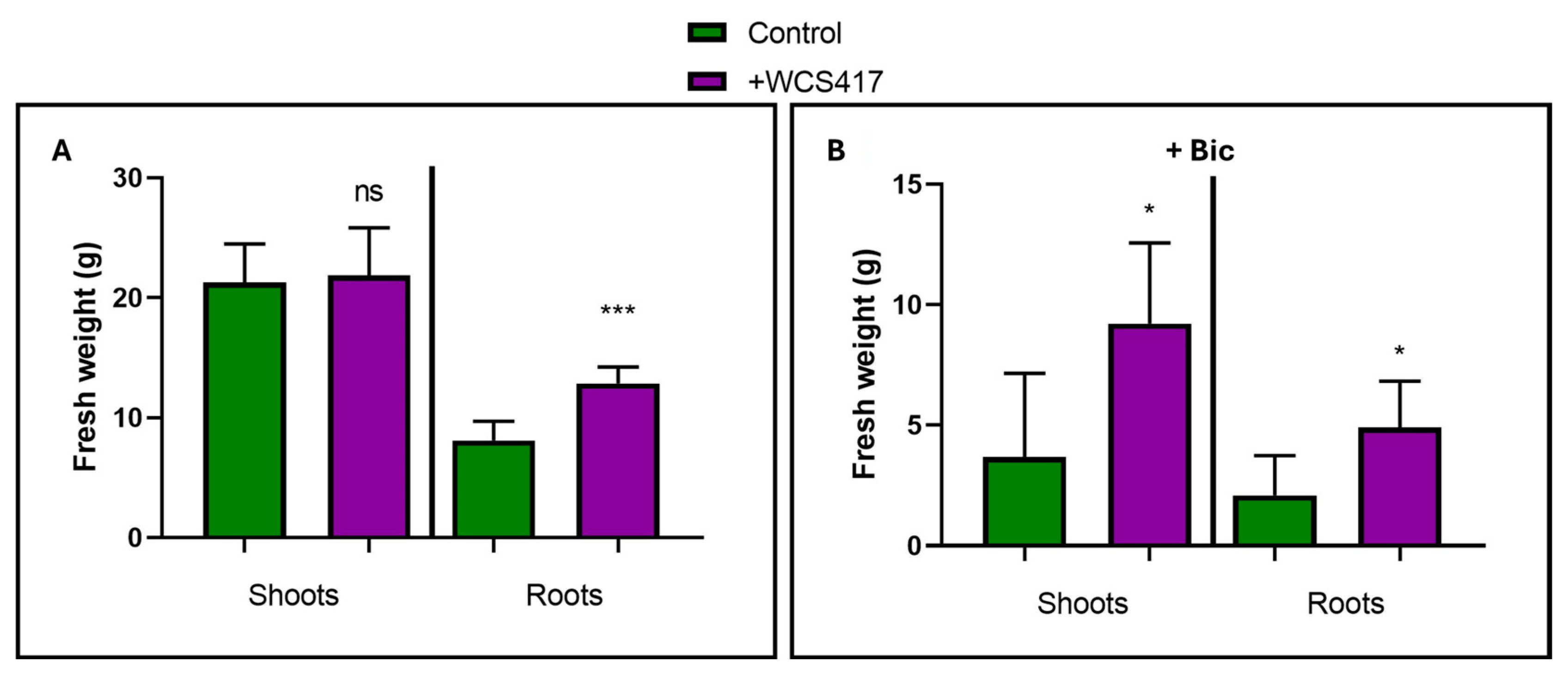 Plants 14 00264 g002 Plants 14 00264 g002
