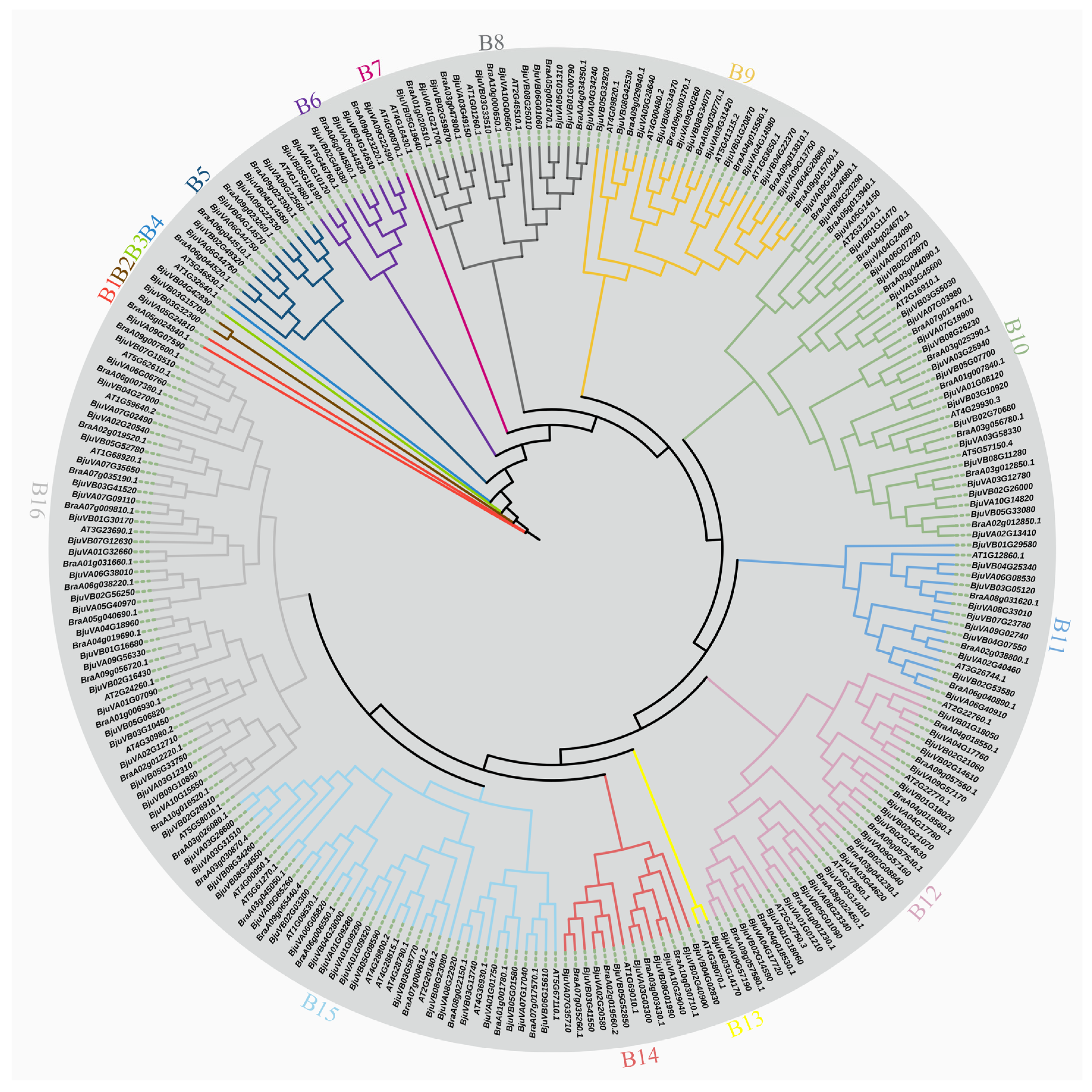 Plants 14 00268 g001