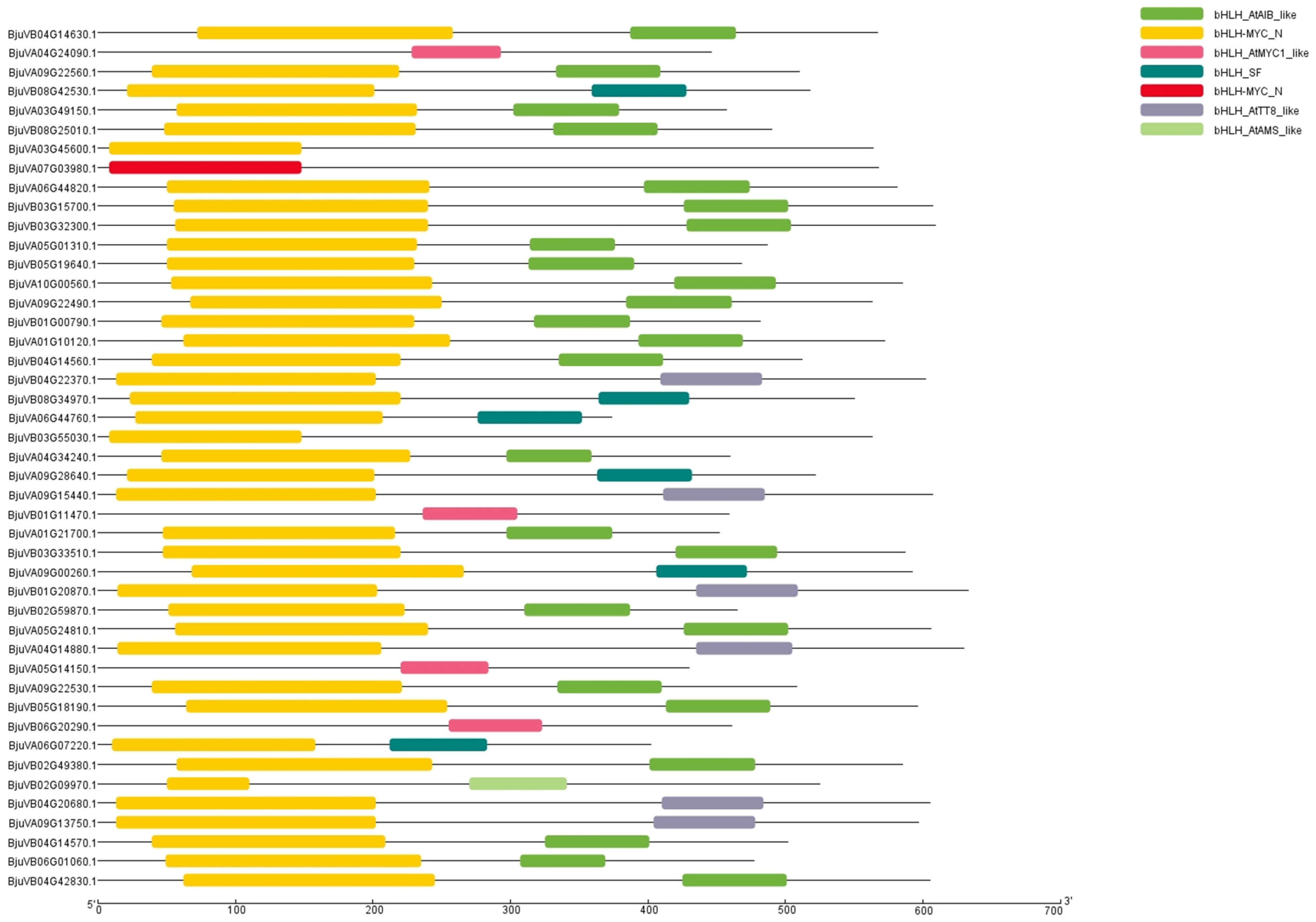 Plants 14 00268 g002