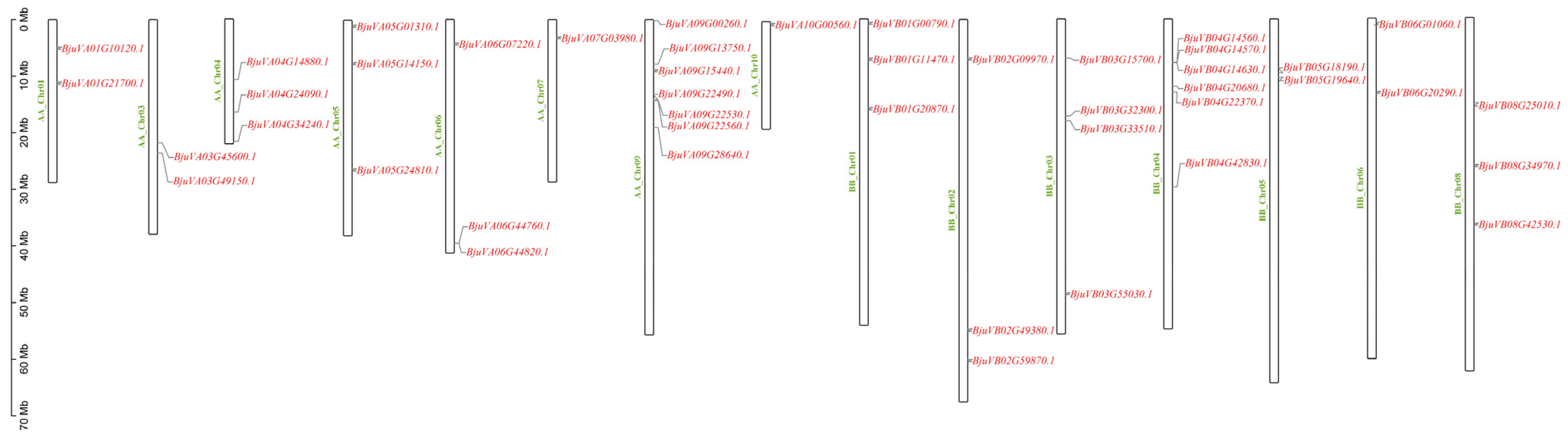 Plants 14 00268 g003