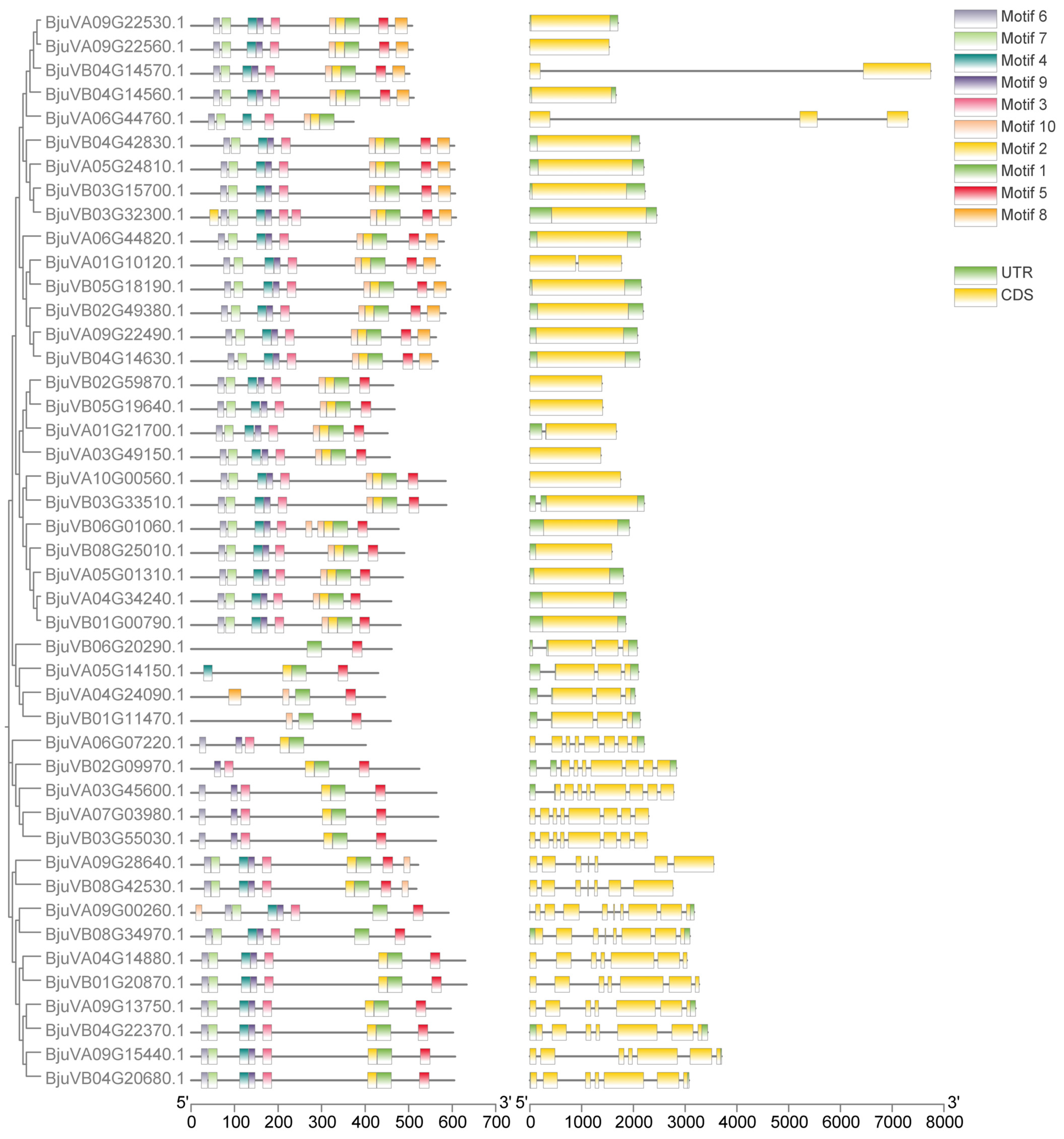 Plants 14 00268 g004