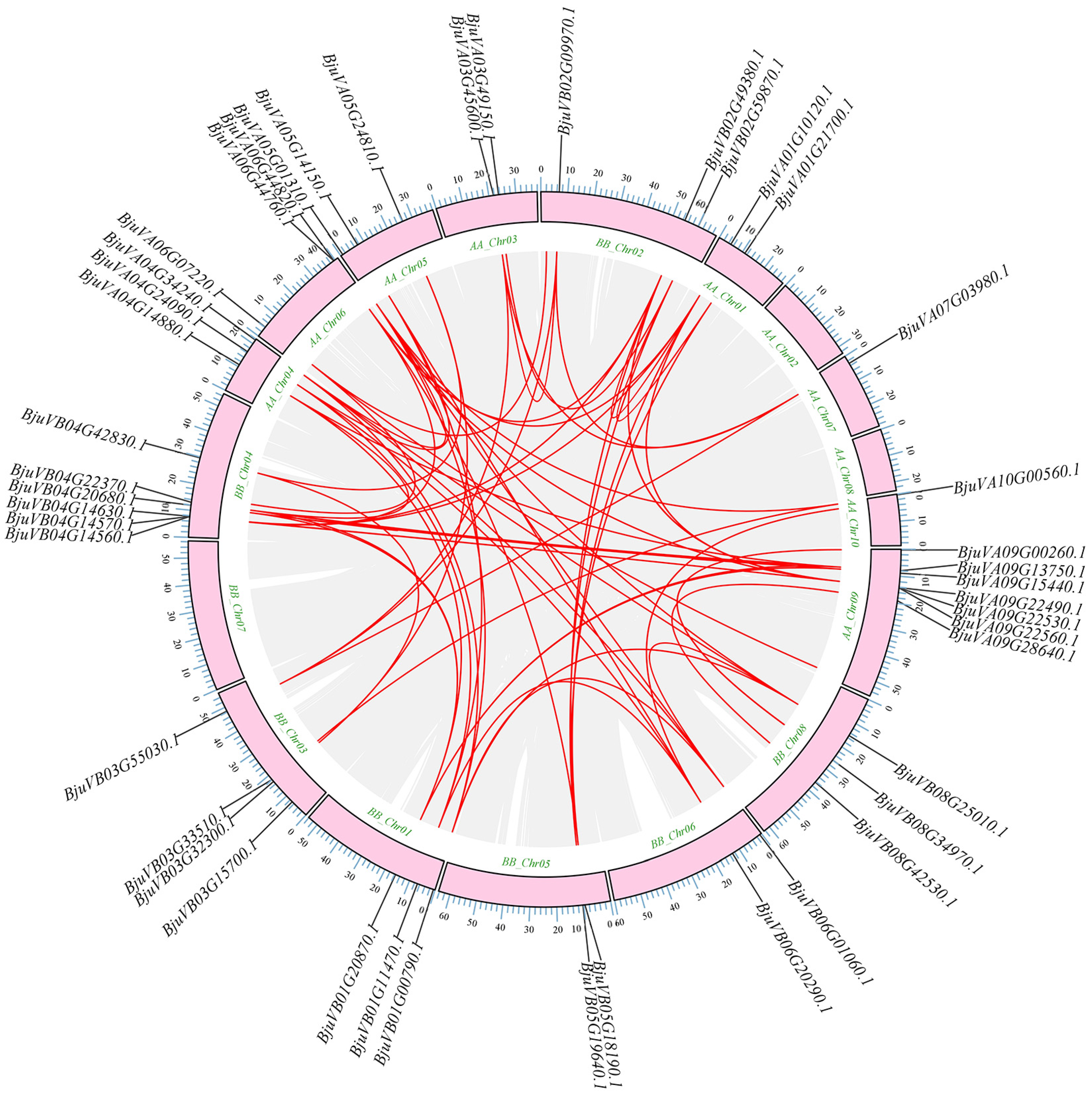 Plants 14 00268 g006