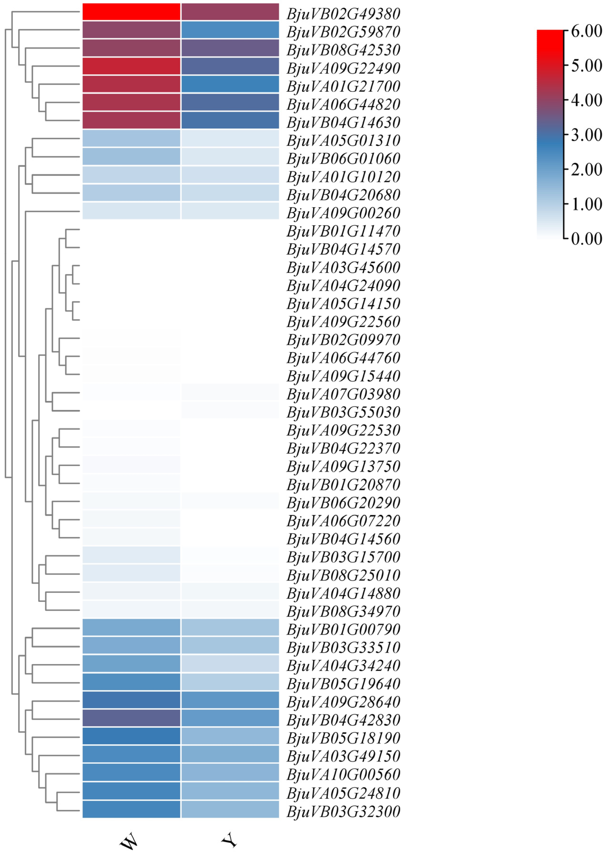 Plants 14 00268 g007