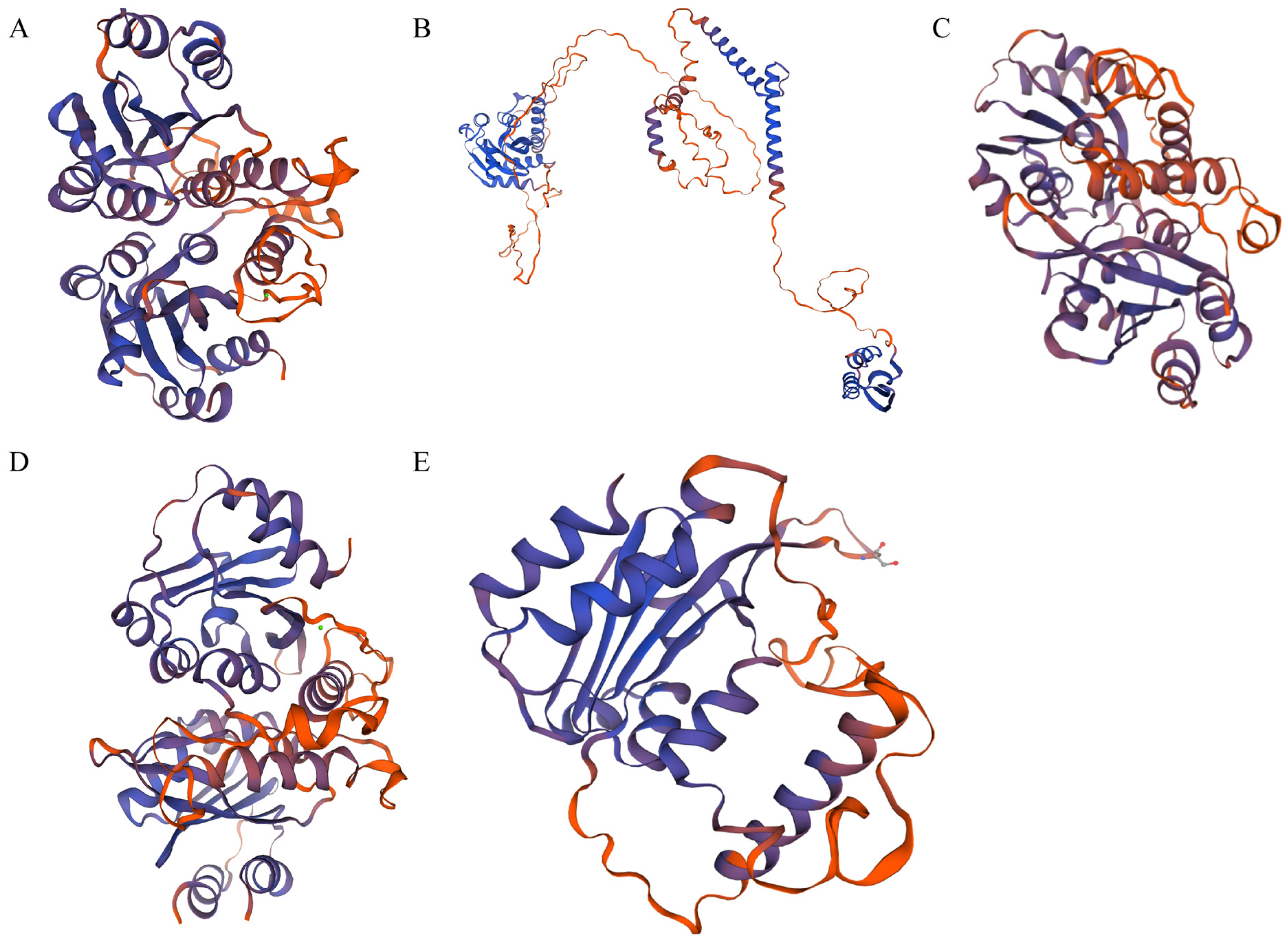 Plants 14 00268 g008