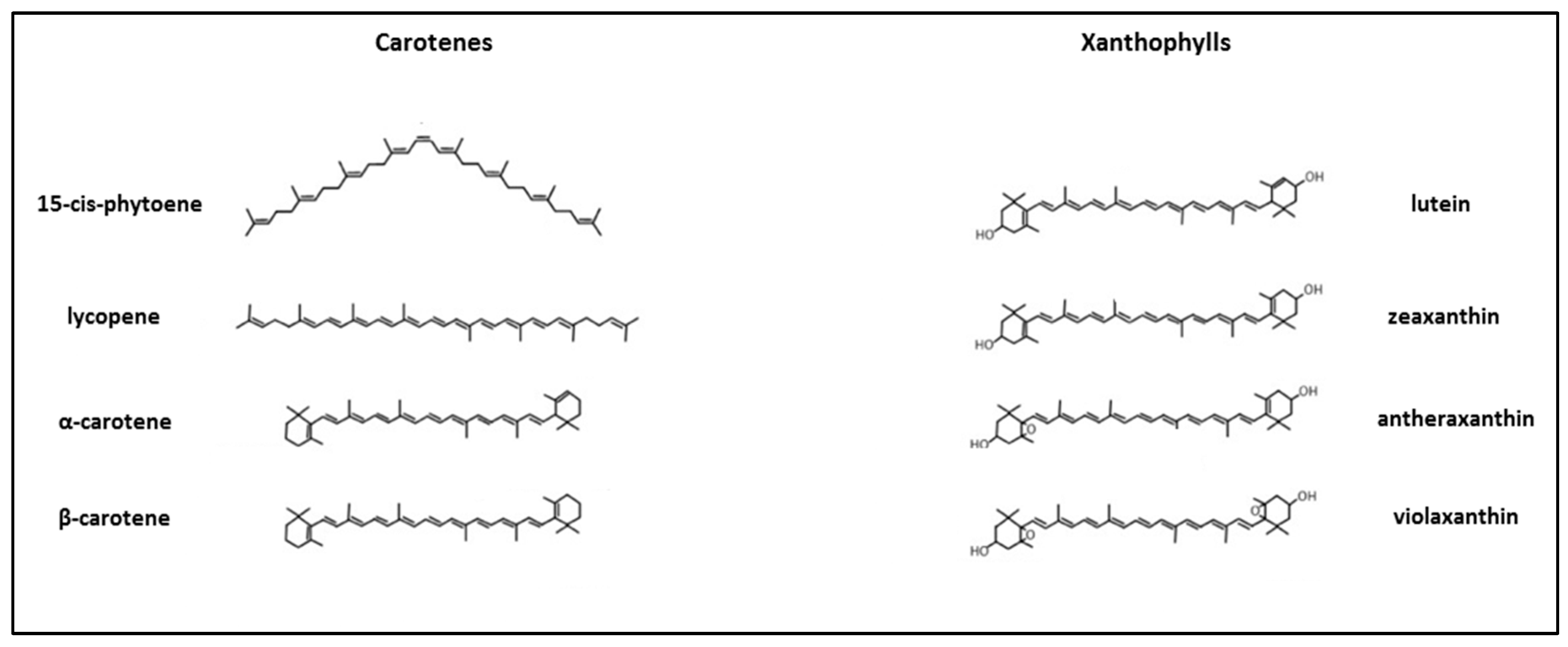 Plants 14 00272 g001 Plants 14 00272 g001