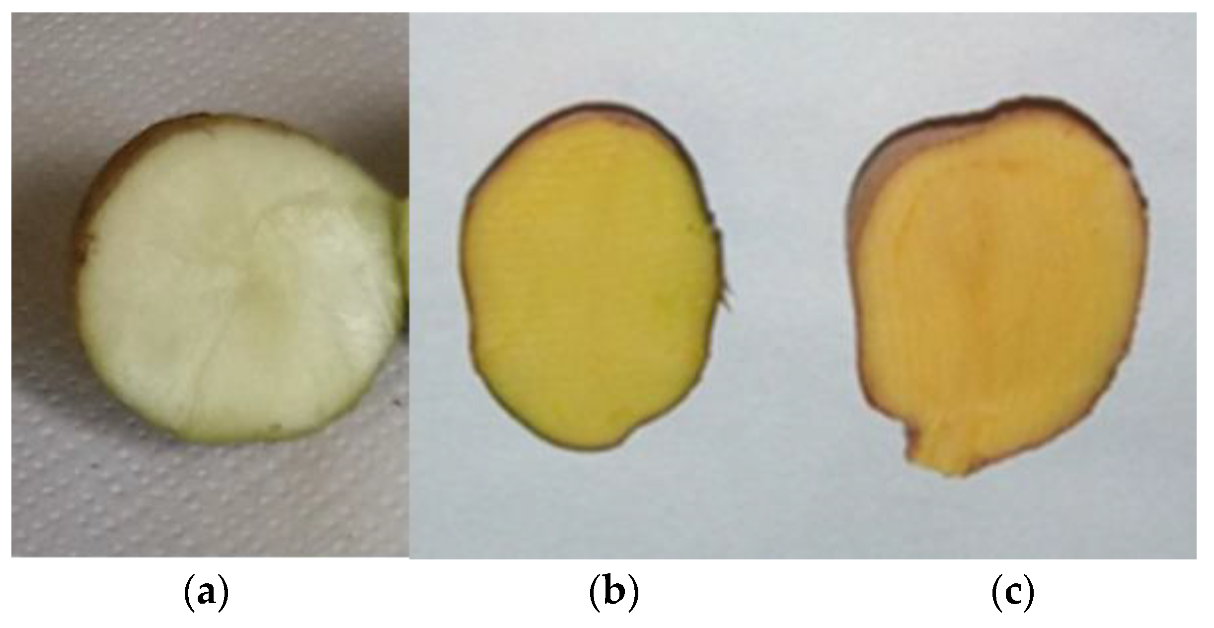 Plants 14 00272 g003 Plants 14 00272 g003