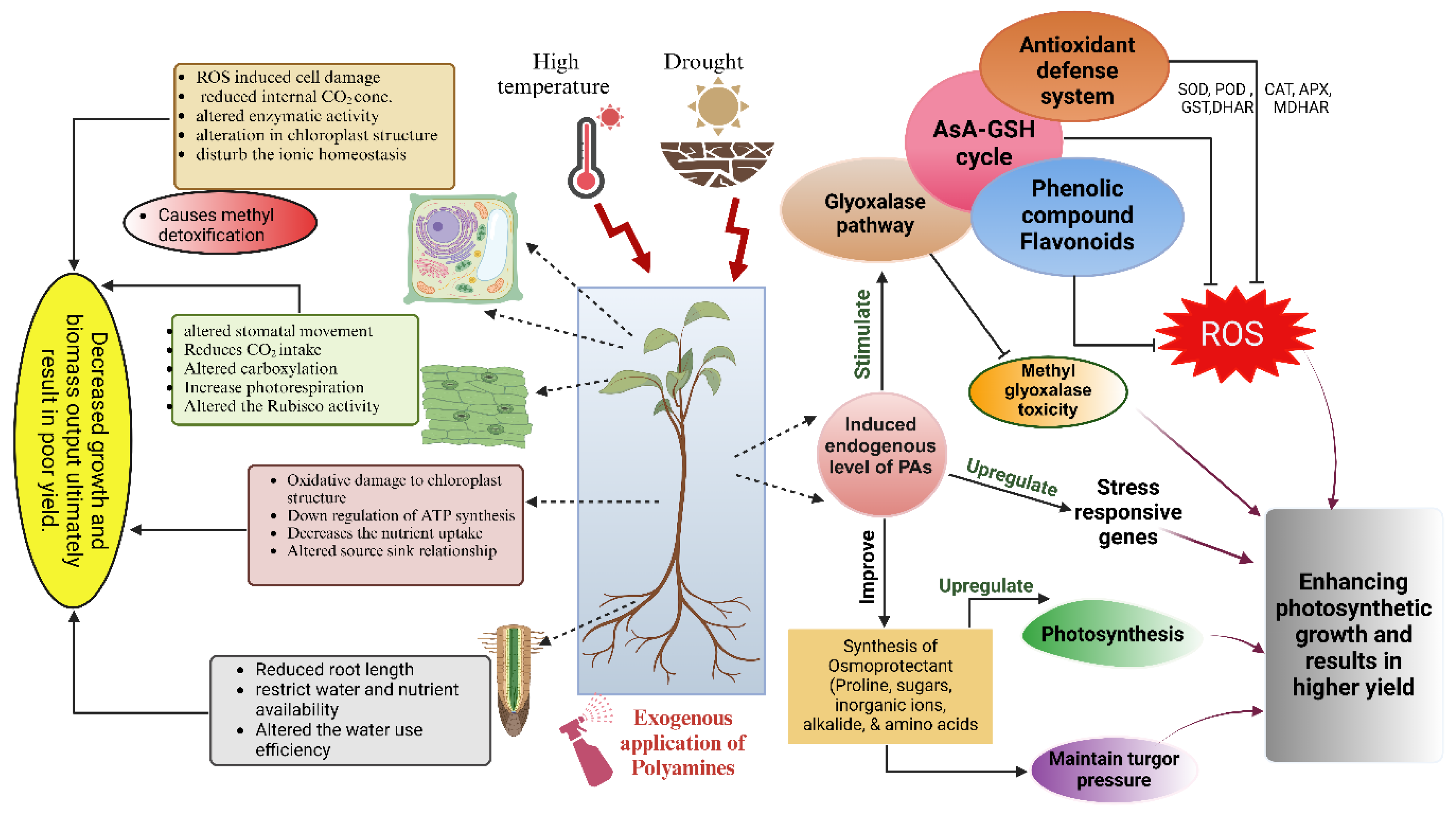 Plants 14 00273 g002