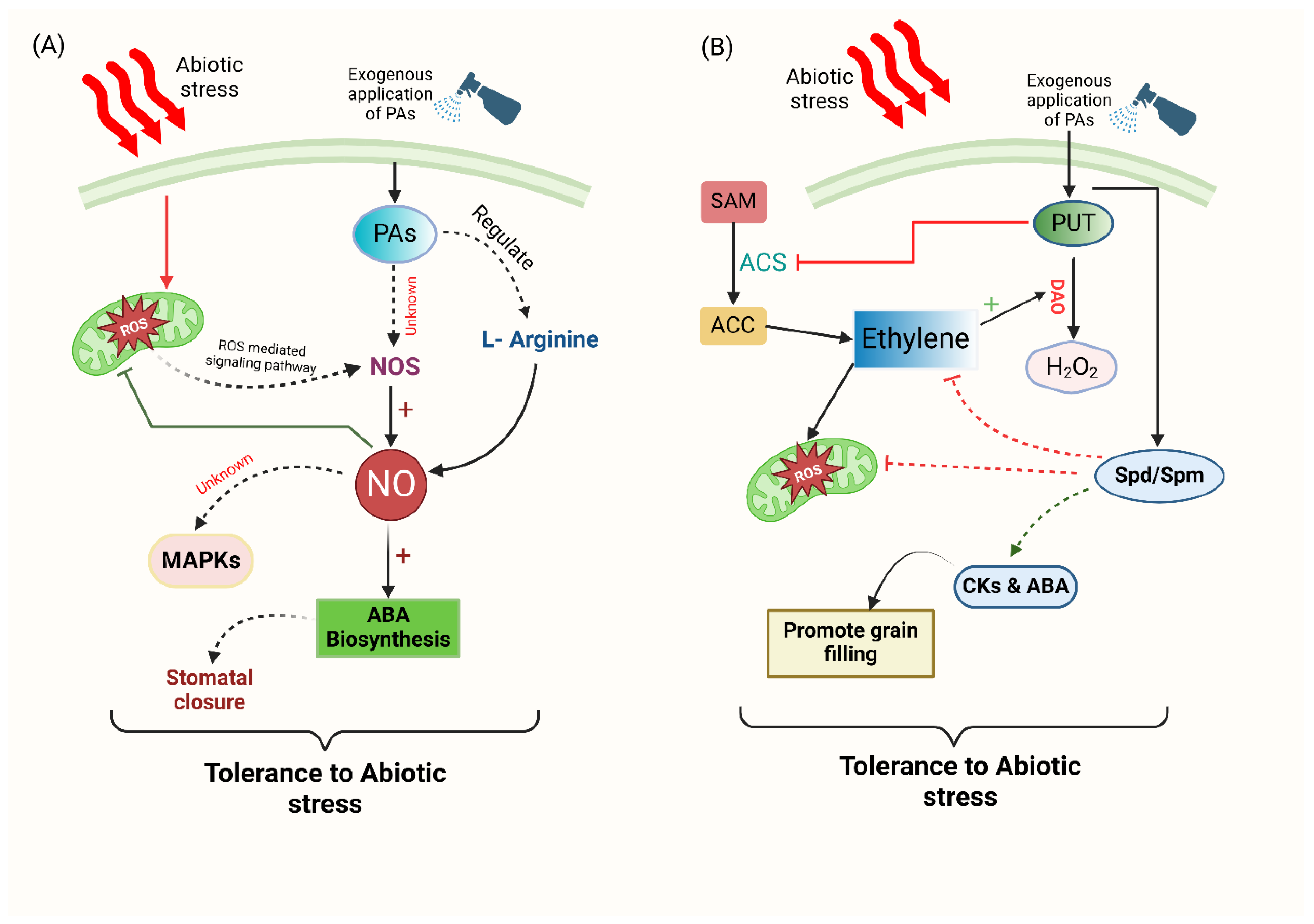 Plants 14 00273 g003