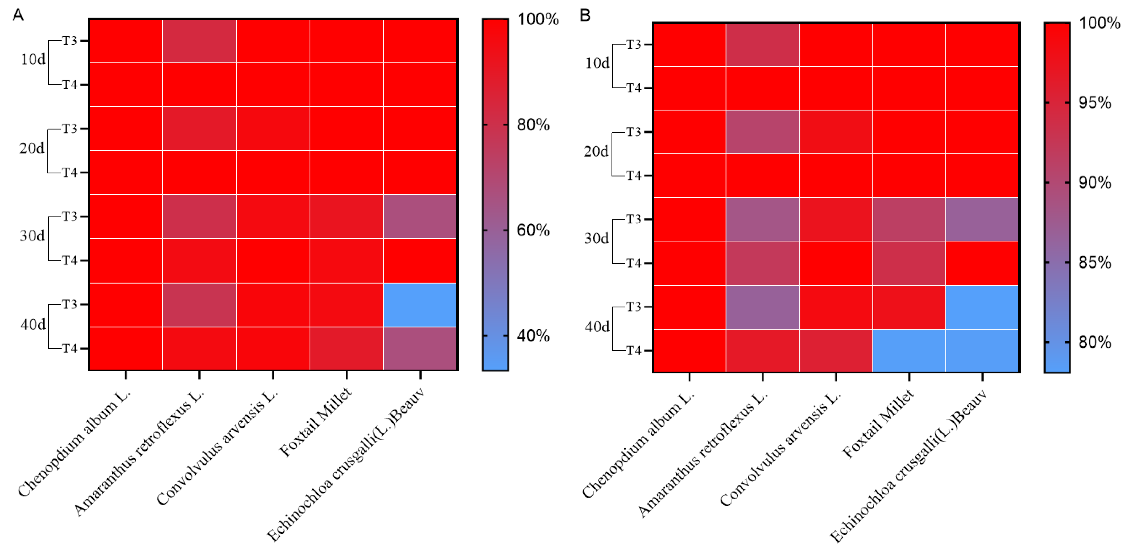 Plants 14 00275 g008