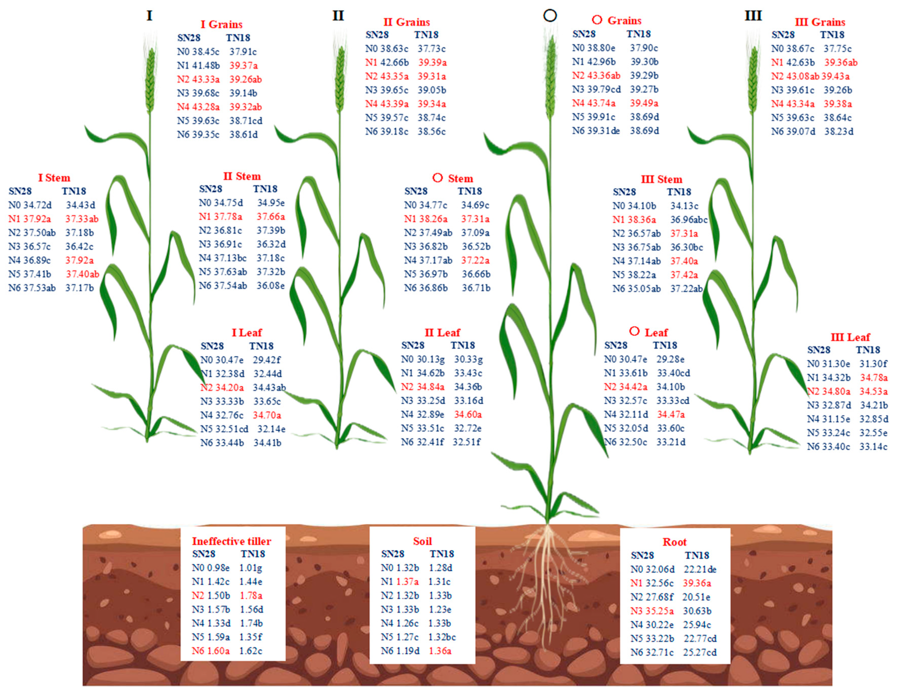 Plants 14 00277 g004