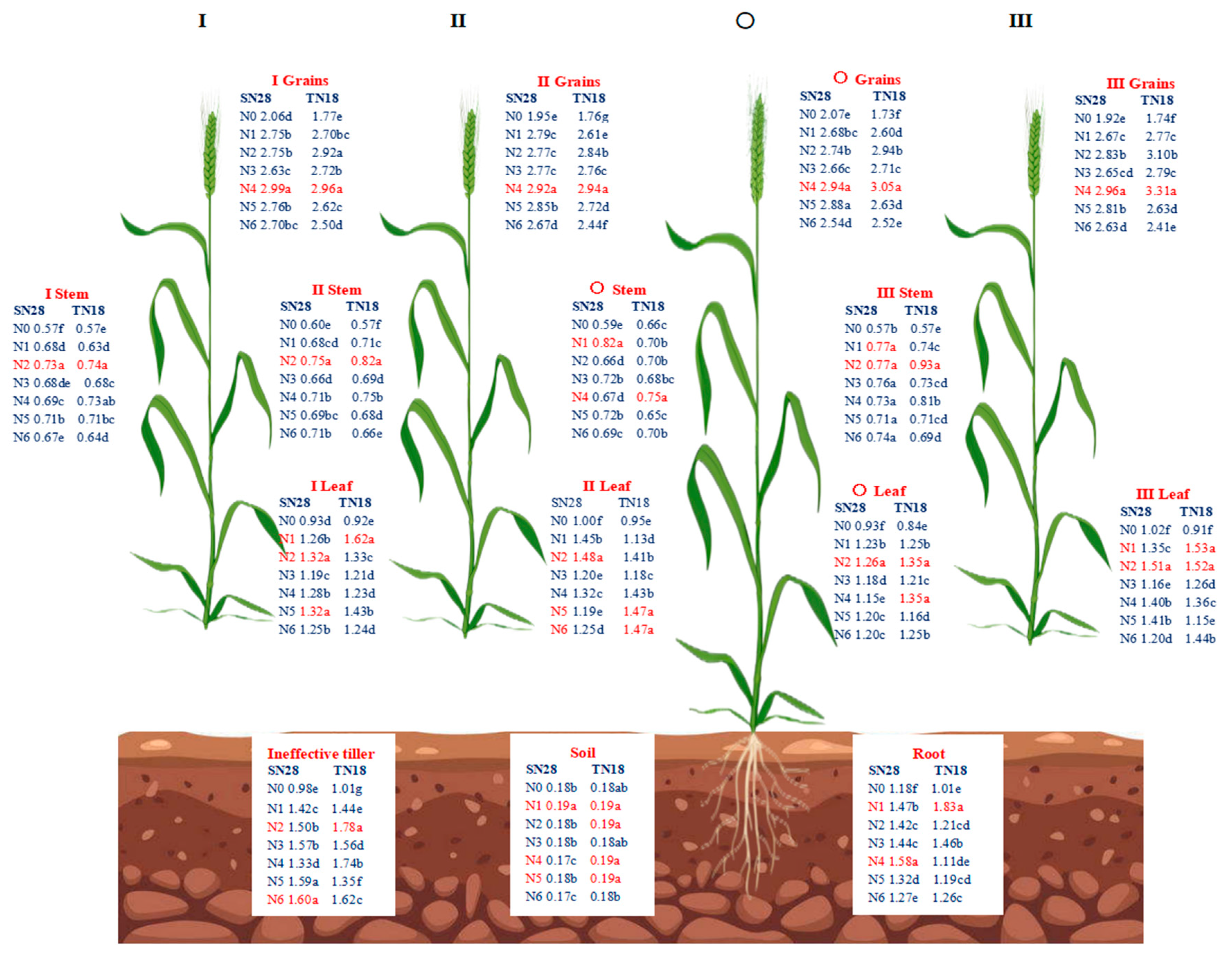Plants 14 00277 g005