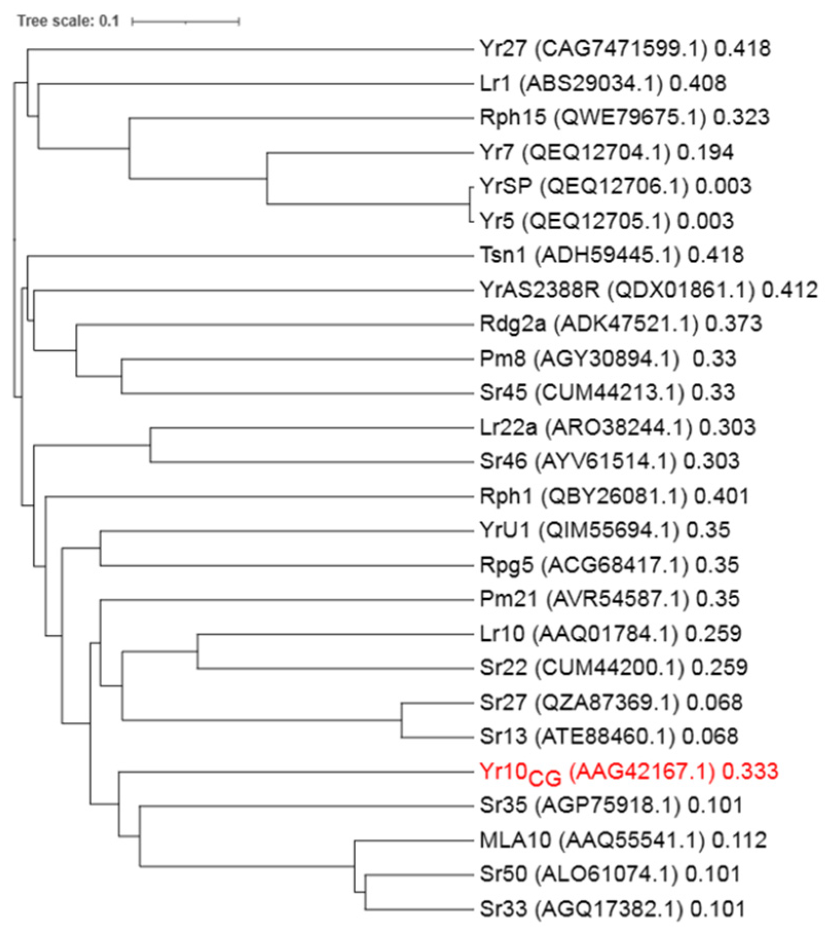 Plants 14 00278 g002