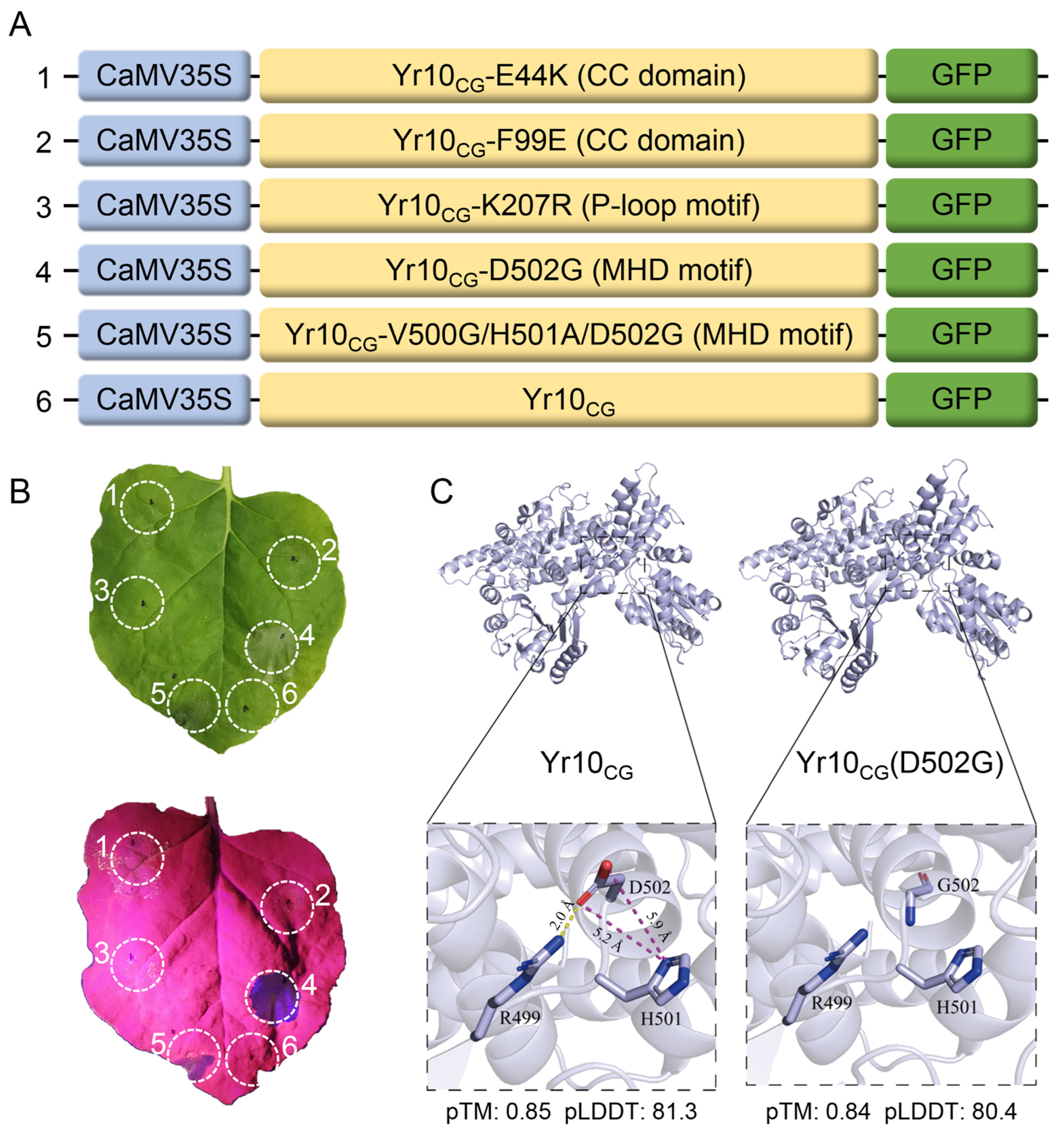 Plants 14 00278 g005