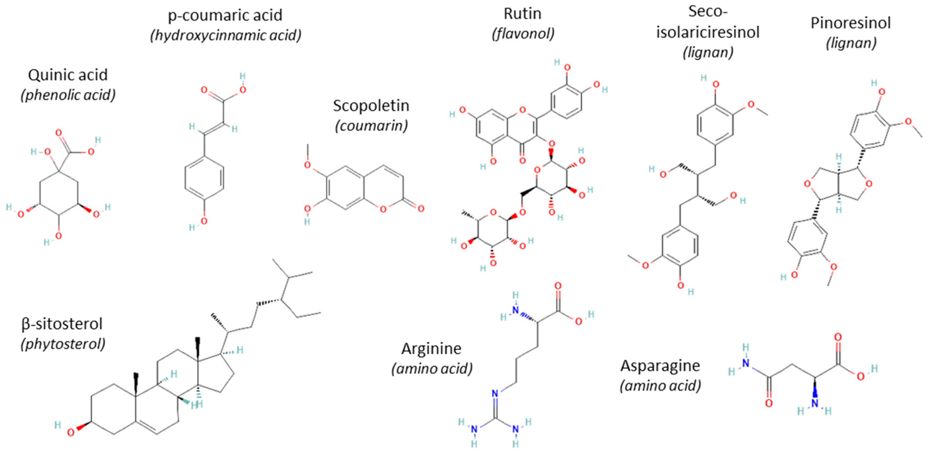 Plants 14 00279 g002