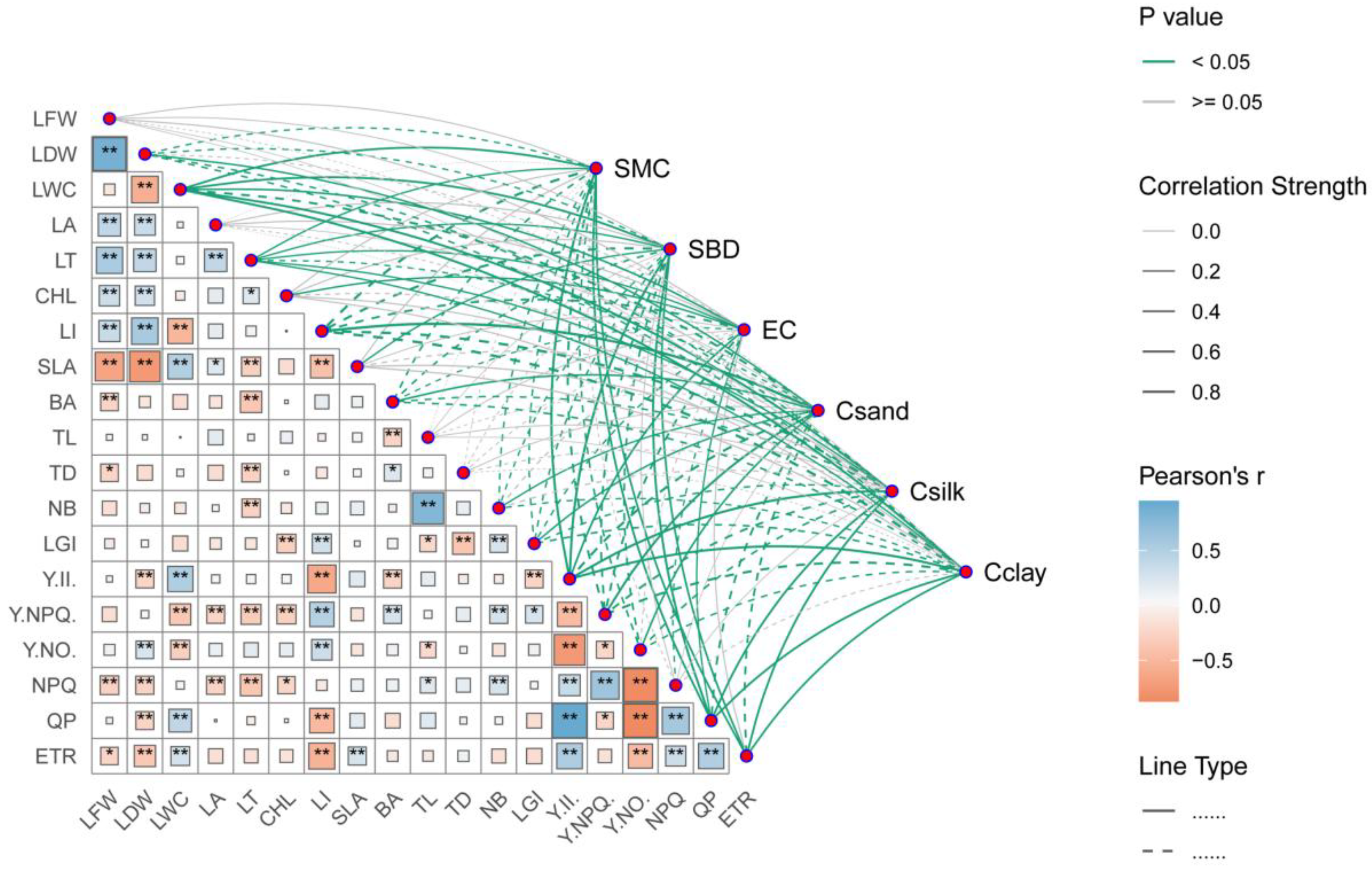 Plants 14 00282 g005 Plants 14 00282 g005