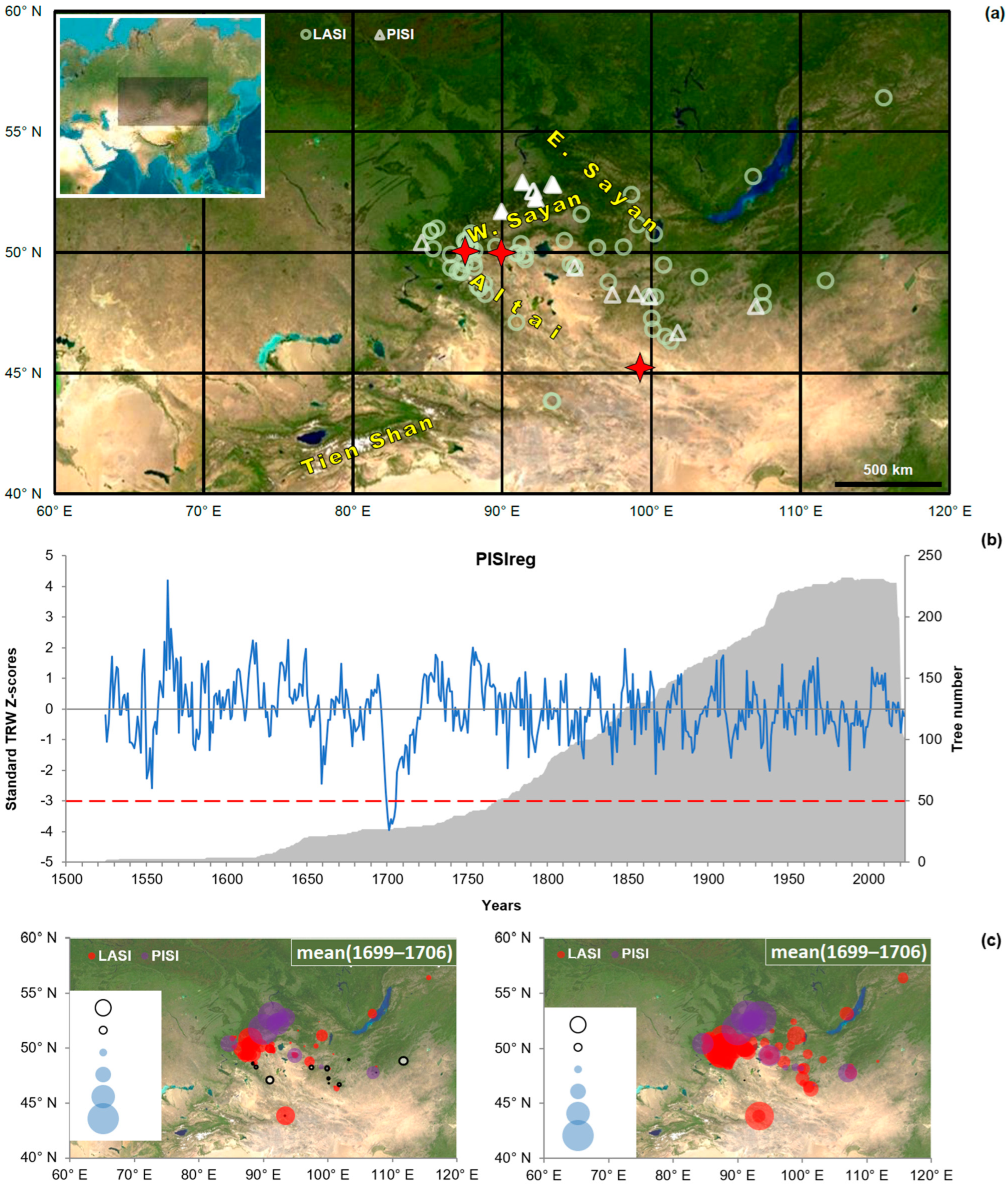 Plants 14 00287 g001