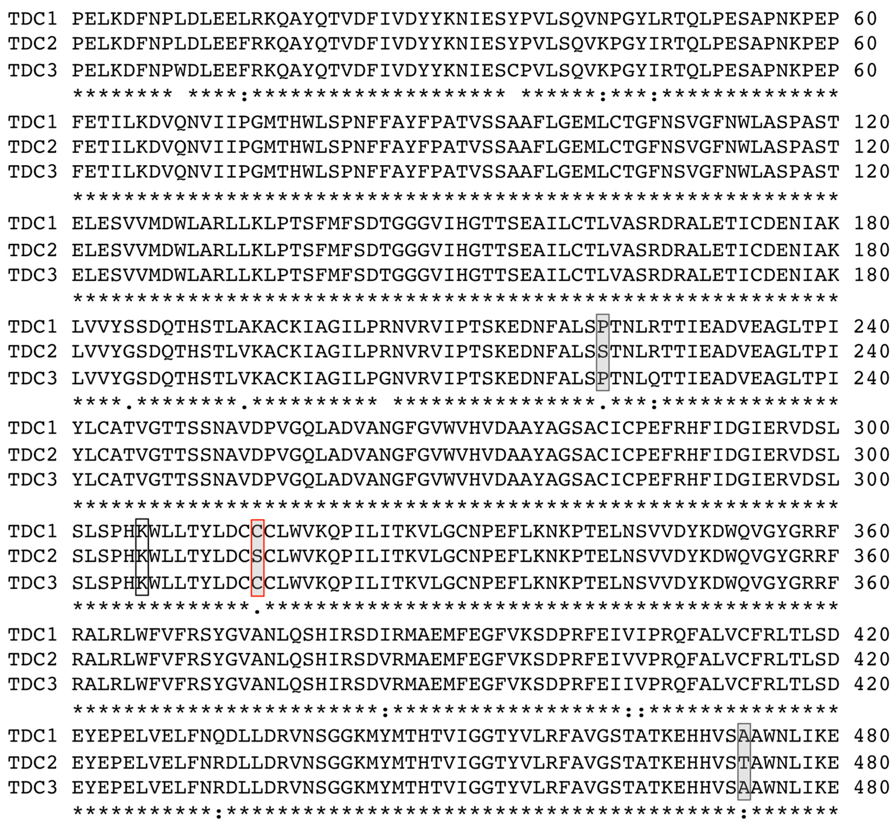 Plants 14 00292 g002