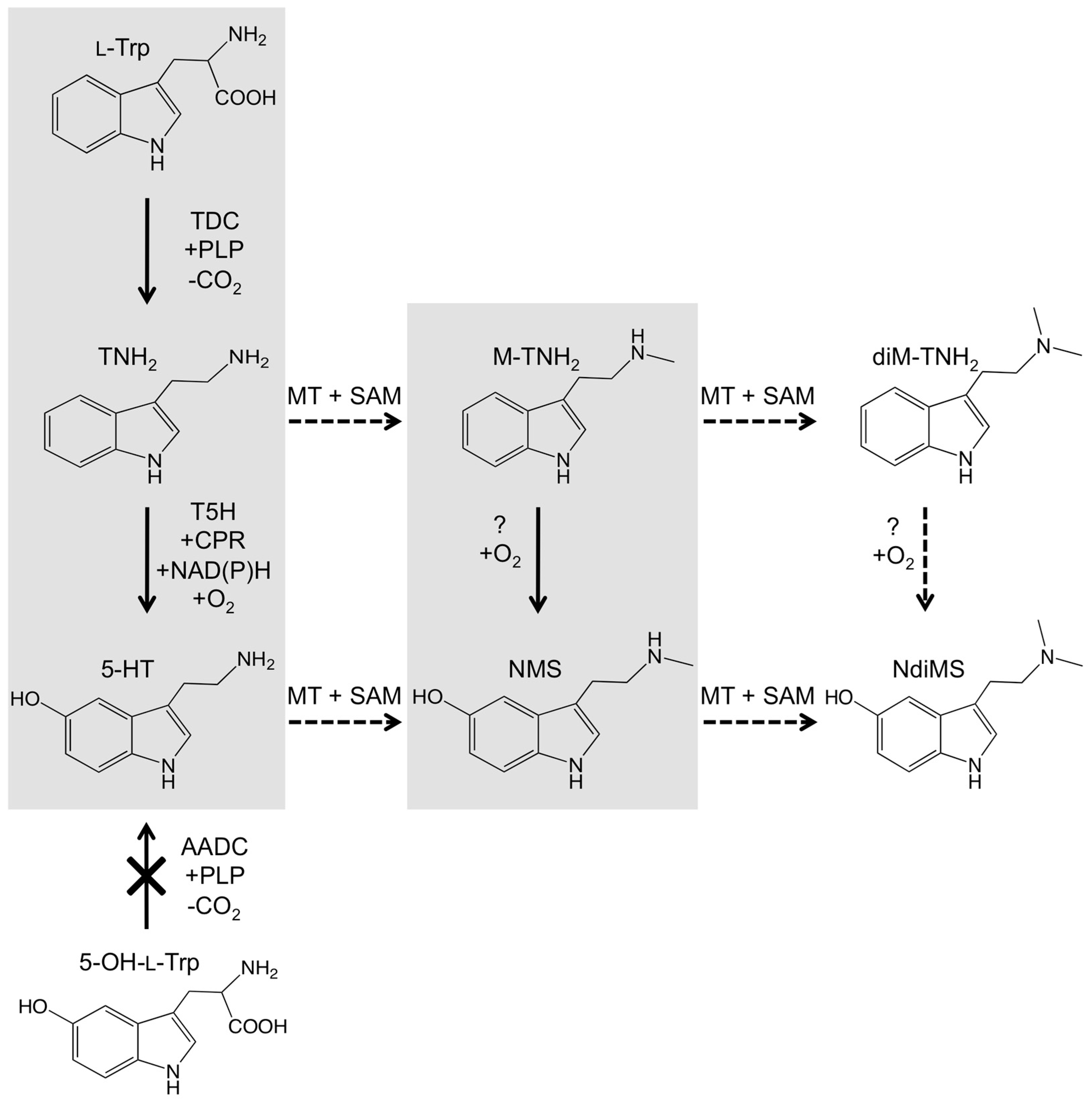 Plants 14 00292 g007