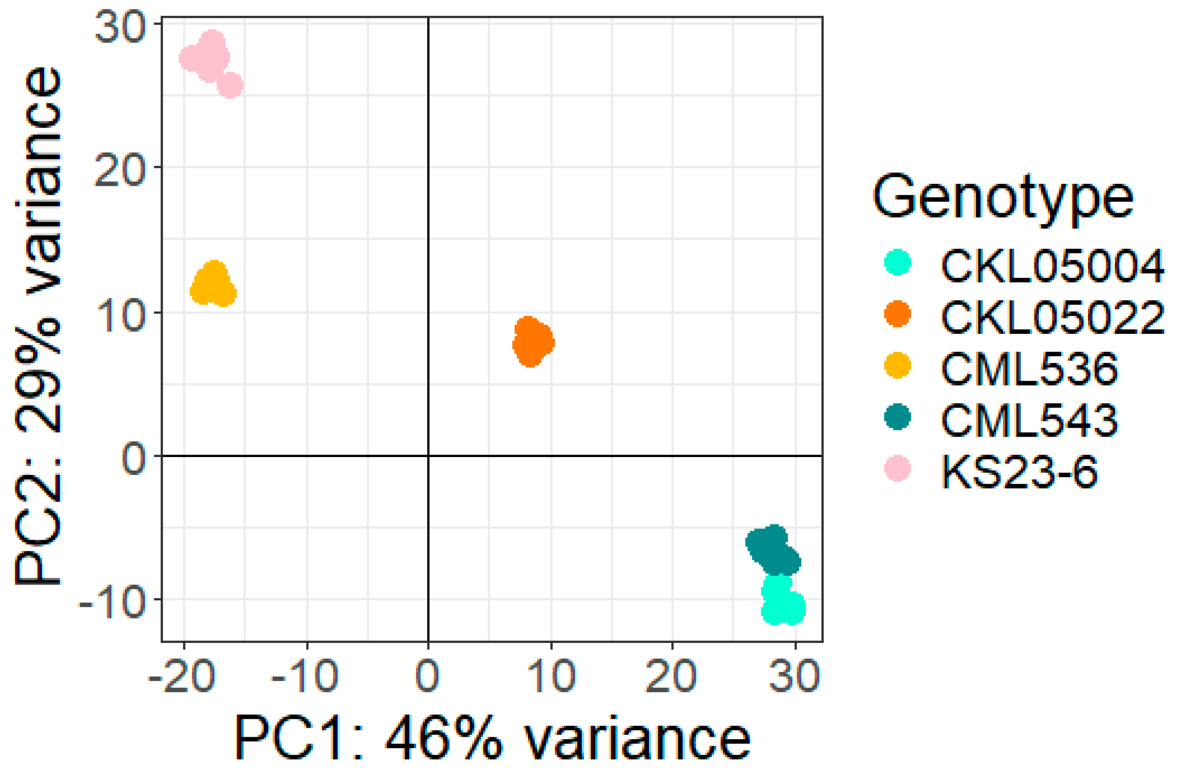 Plants 14 00295 g003