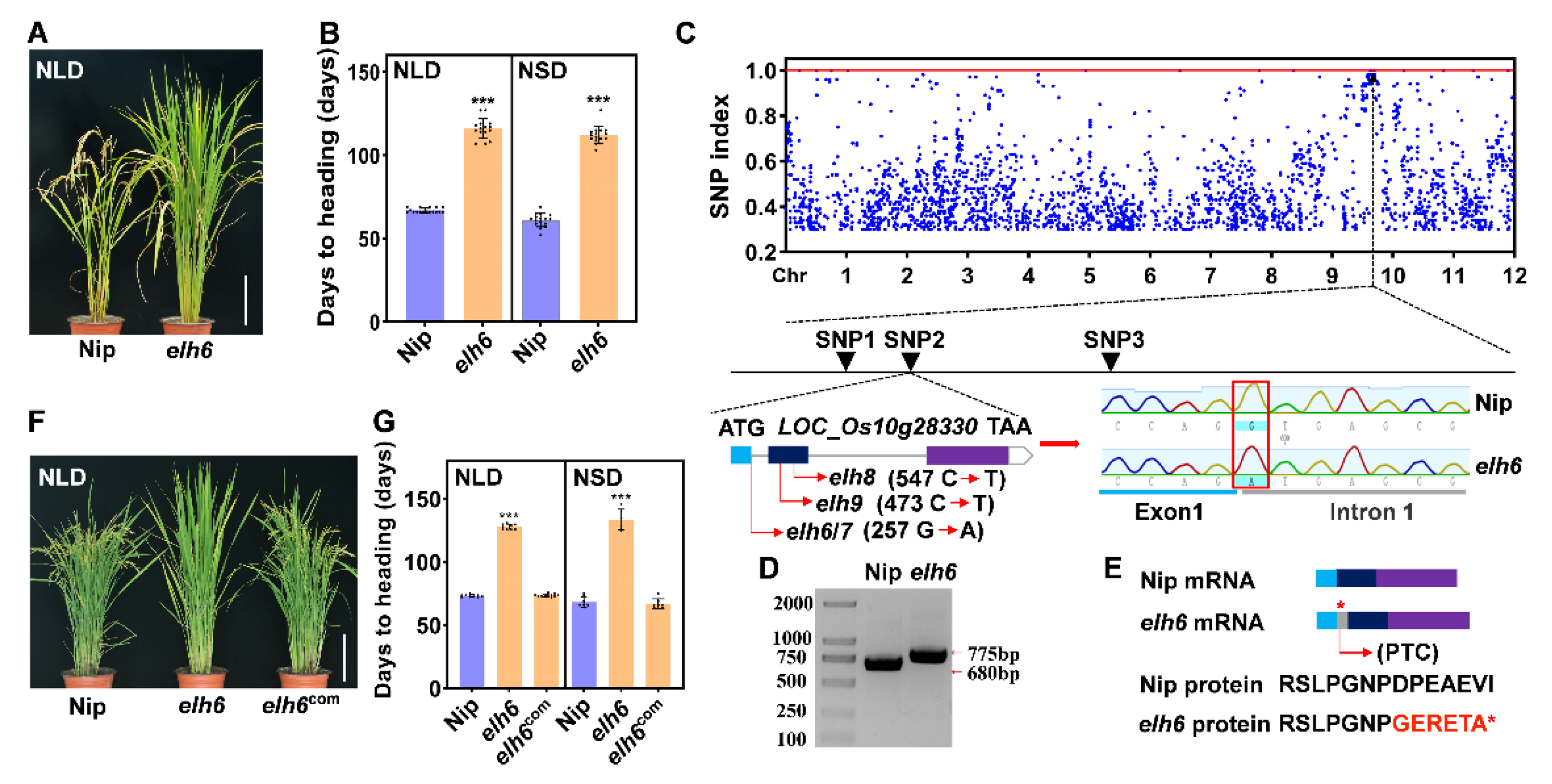Plants 14 00297 g003