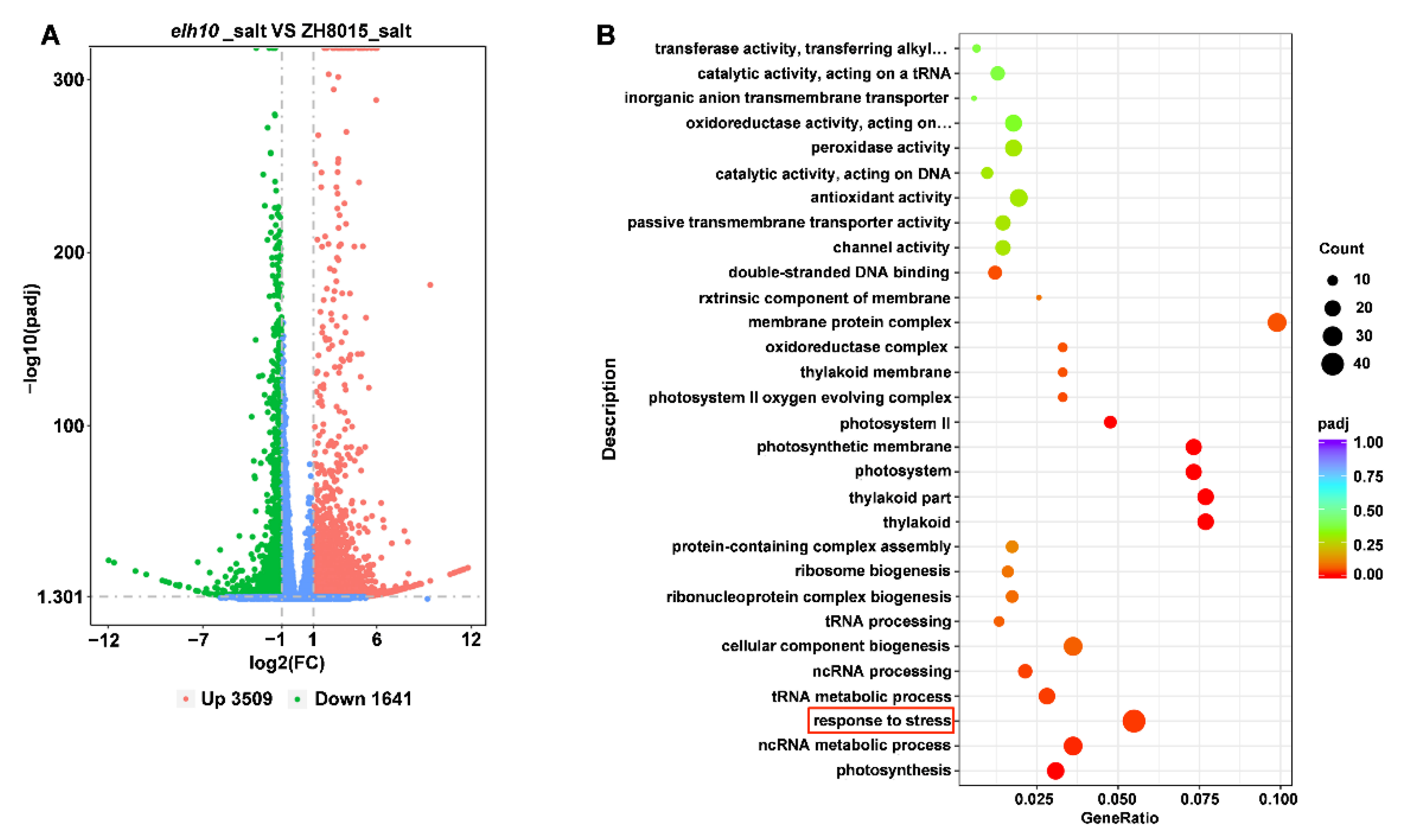 Plants 14 00297 g008