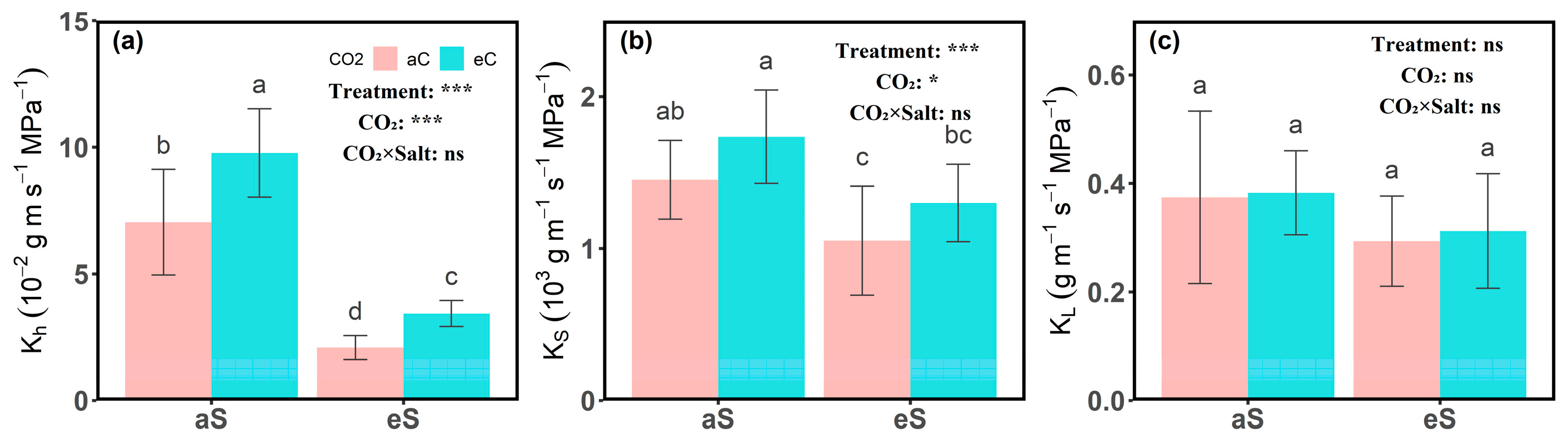 Plants 14 00298 g001