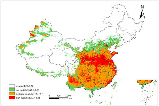 Impacts of Human Activity and Climate Change on the Suitable