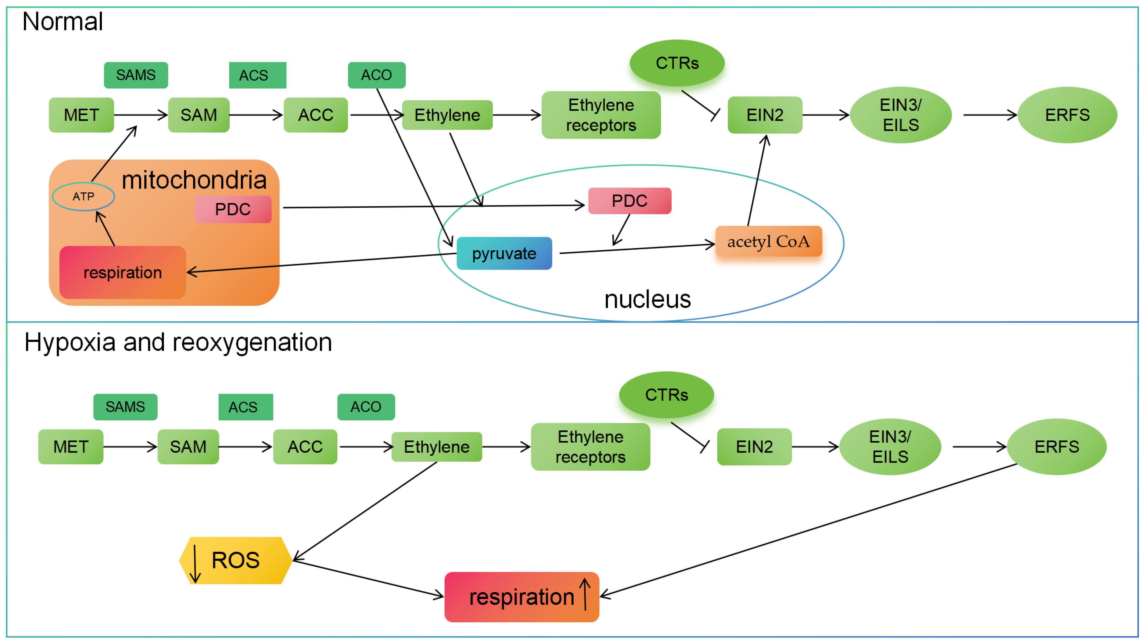 Plants 14 00309 g004