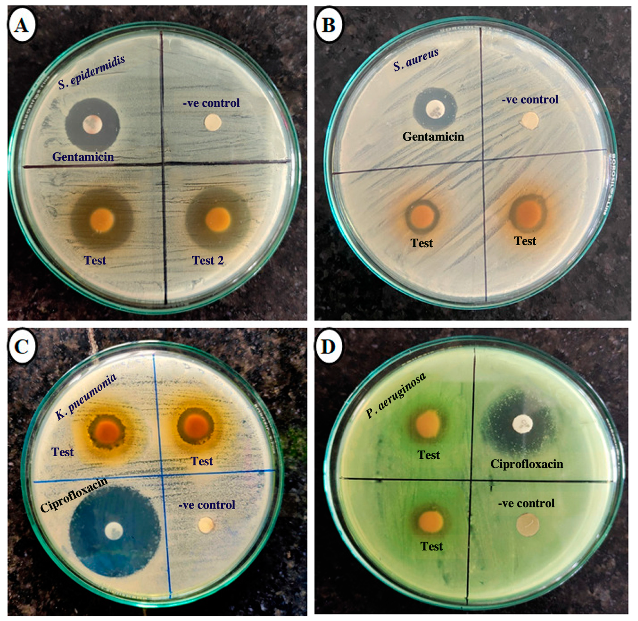 Plants 14 00316 g004