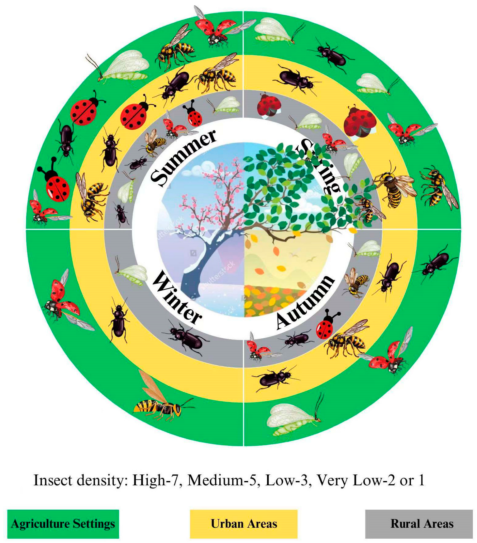 Plants 14 00319 g002