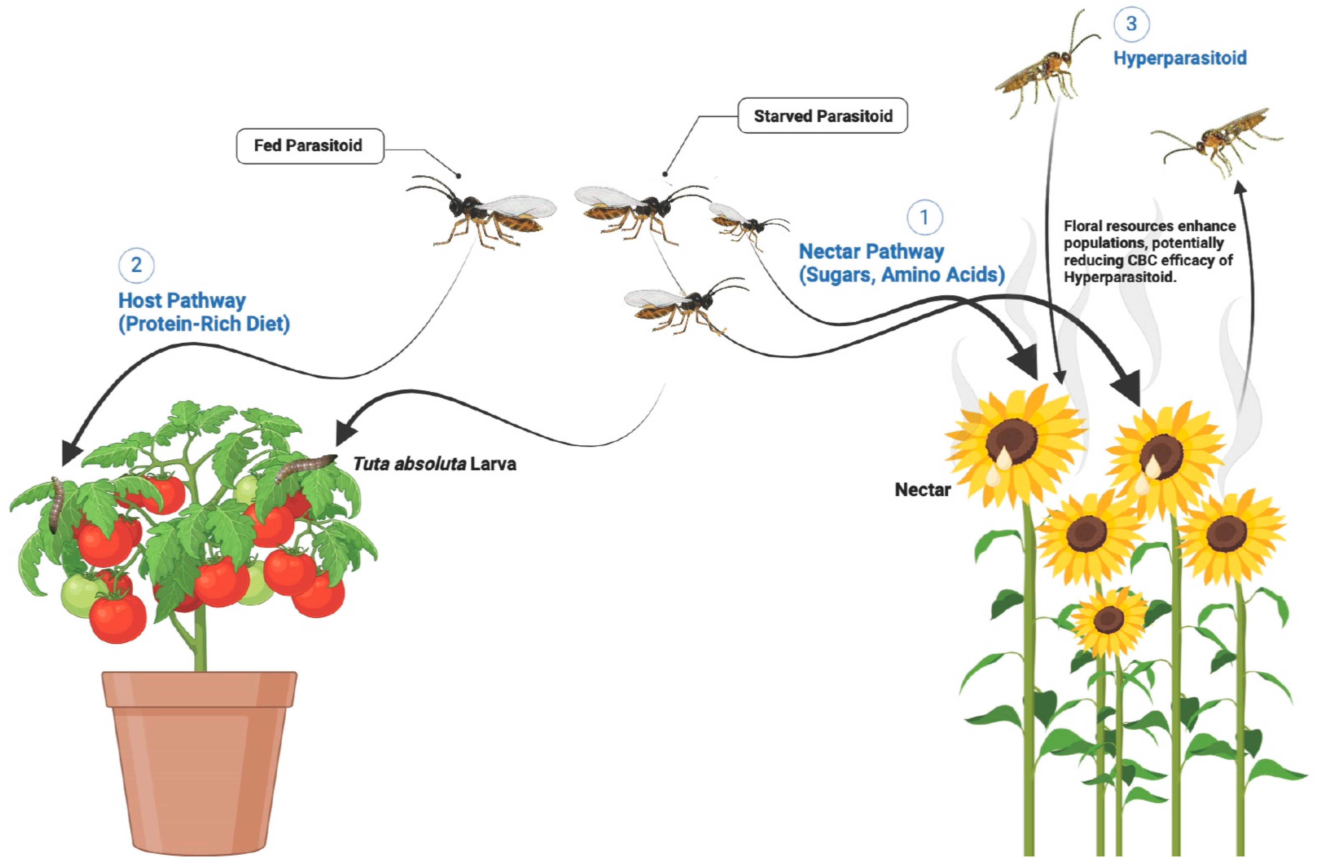 Plants 14 00319 g003