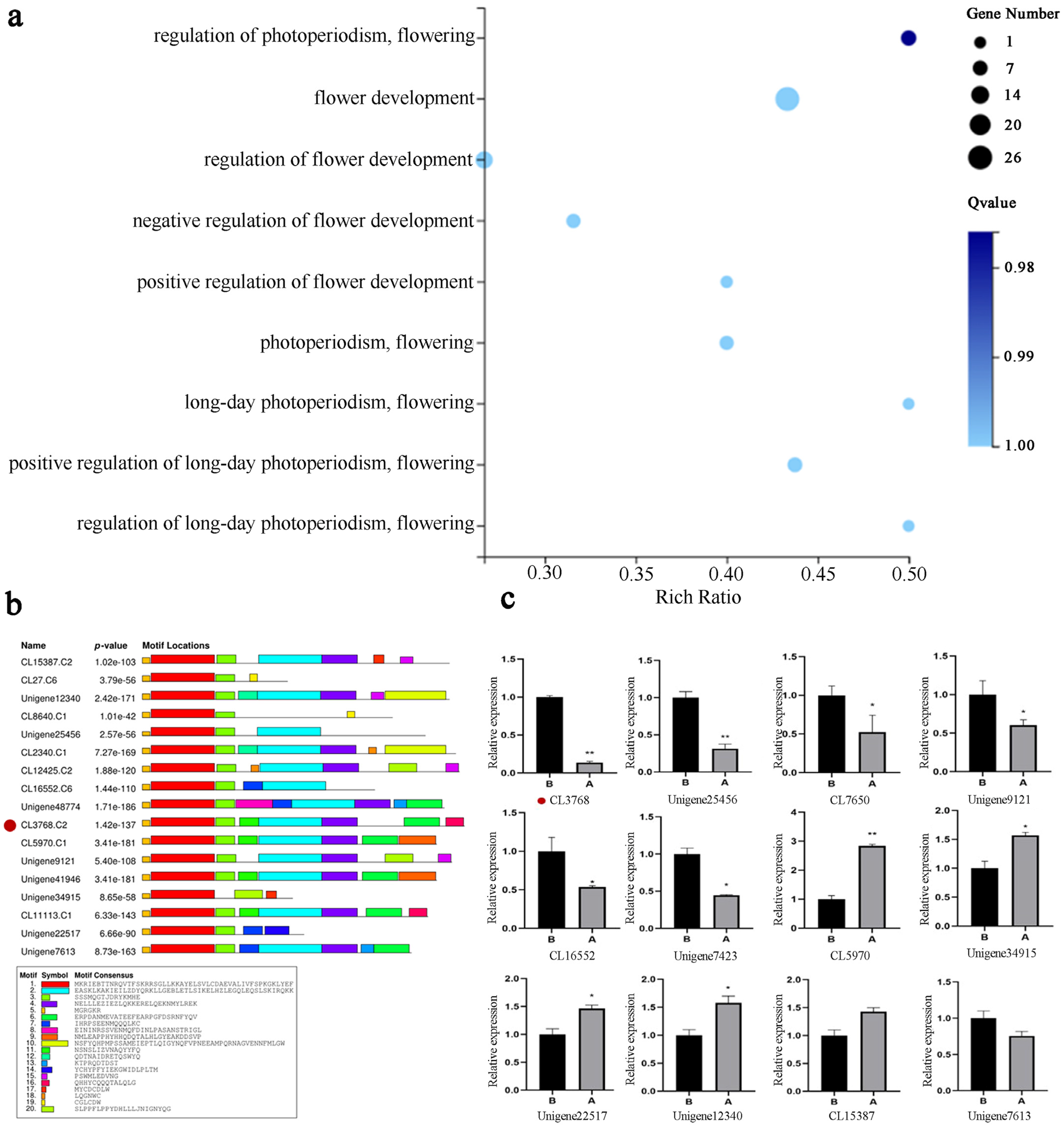 Plants 14 00323 g002 Plants 14 00323 g002
