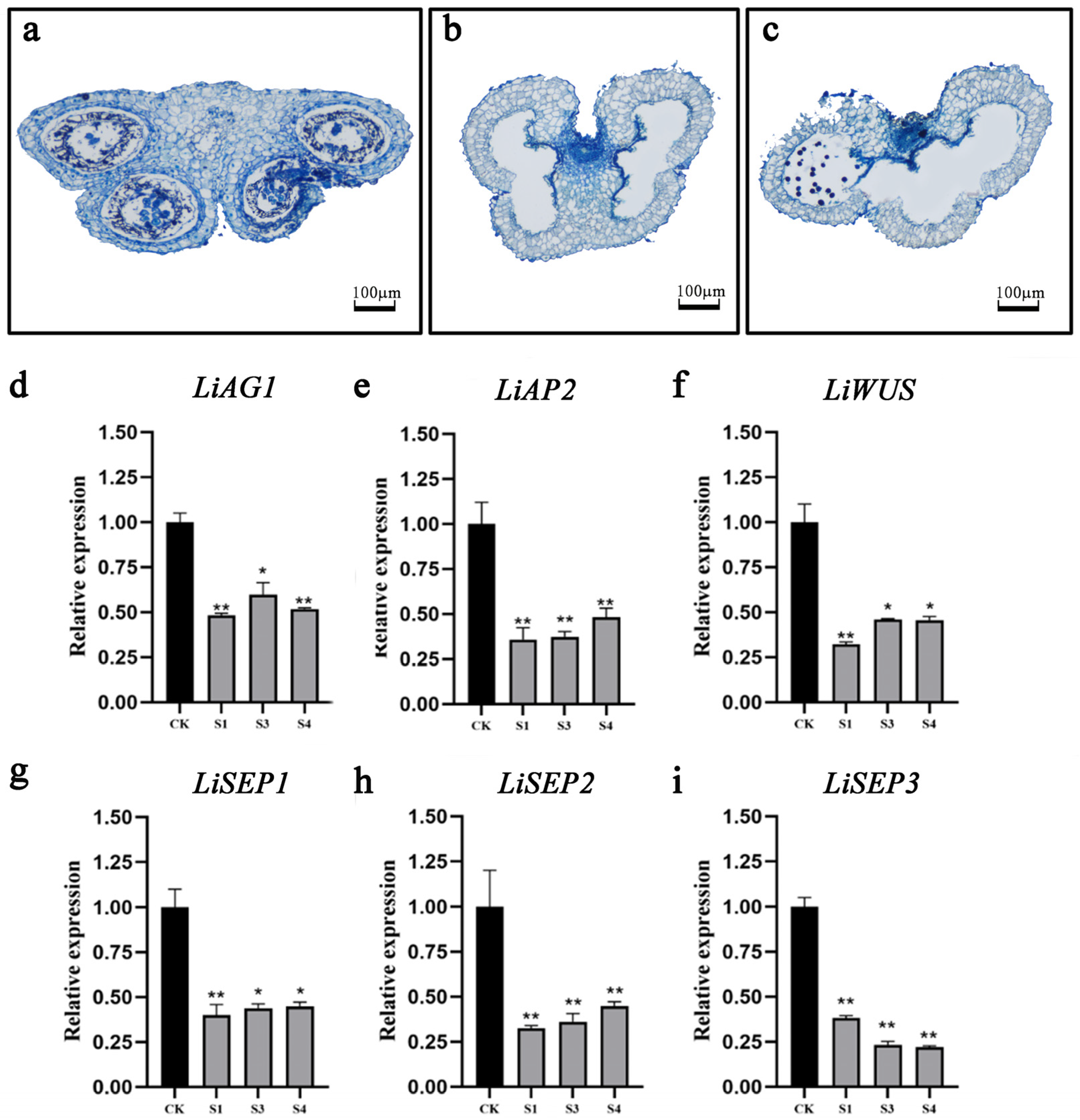 Plants 14 00323 g005 Plants 14 00323 g005