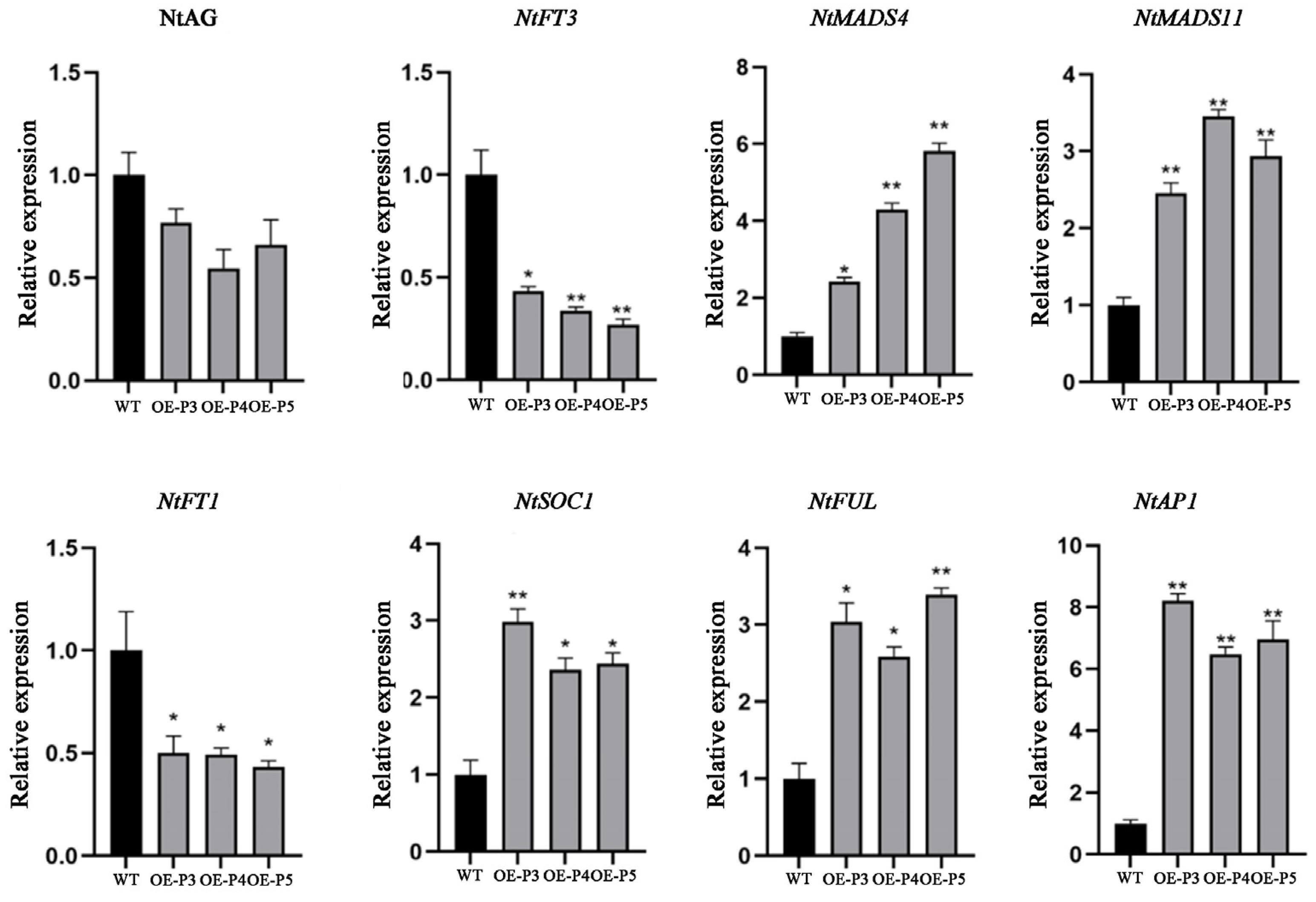 Plants 14 00323 g010 Plants 14 00323 g010