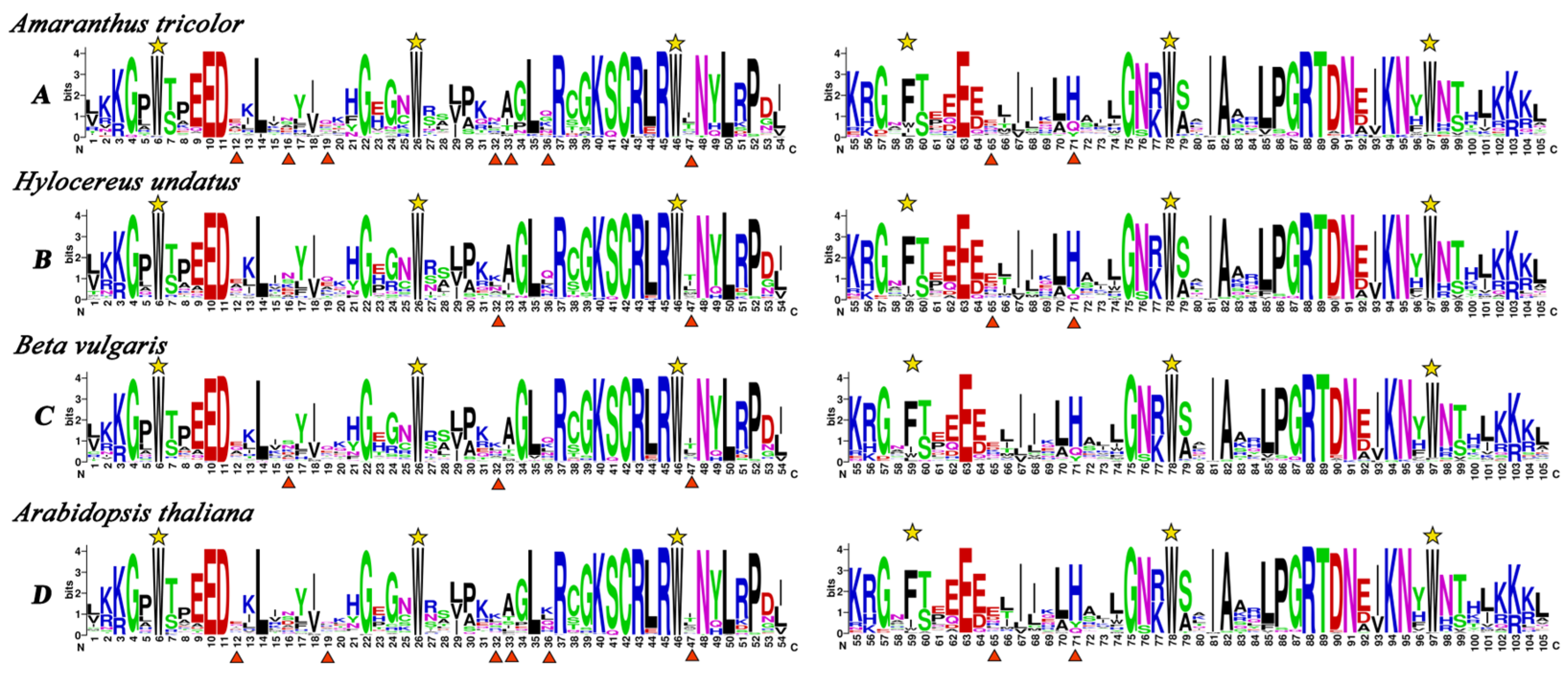 Plants 14 00324 g002