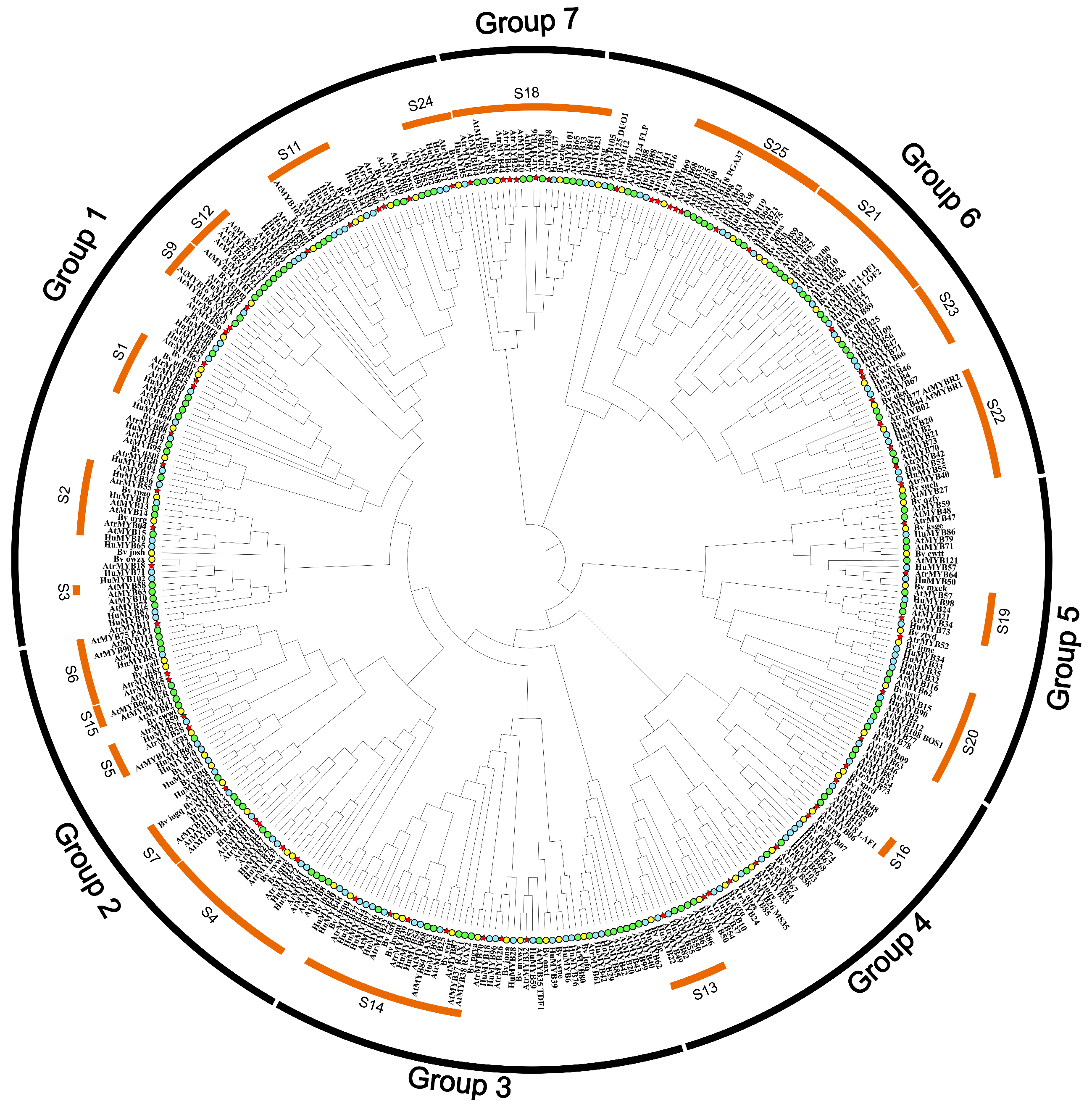 Plants 14 00324 g004