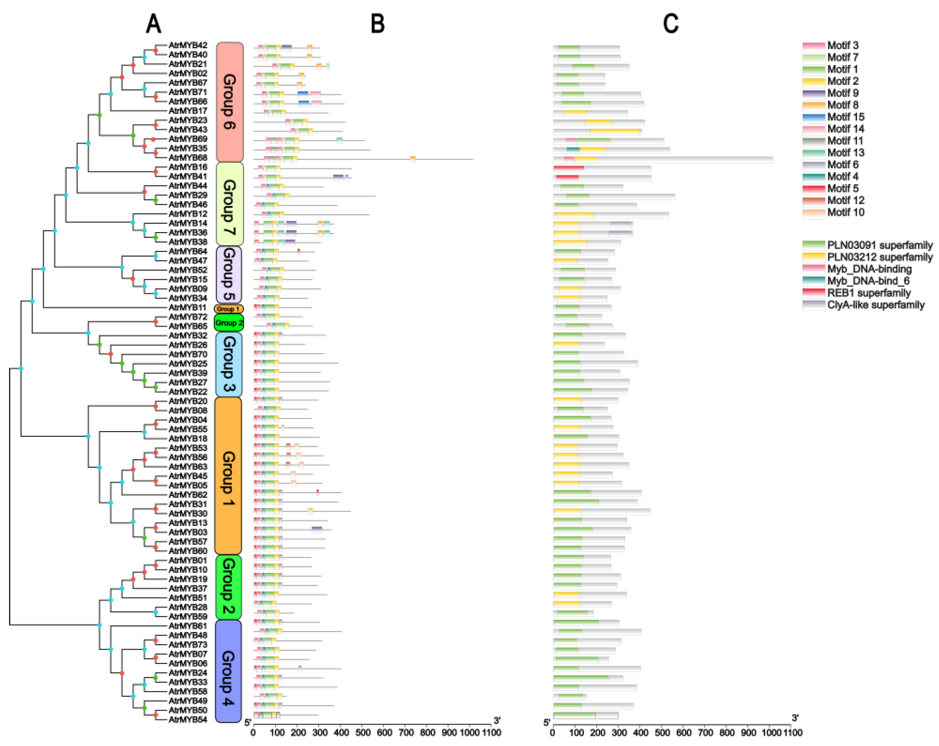 Plants 14 00324 g005